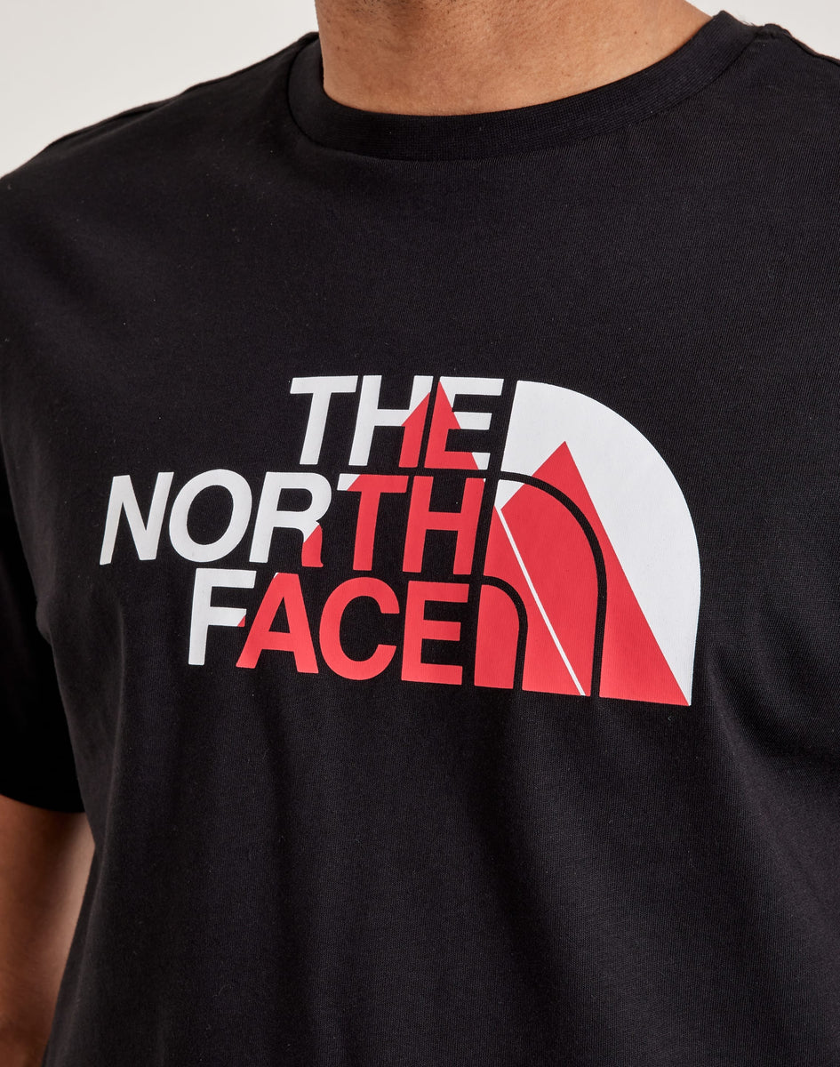 The North Face Graphic Tee – DTLR