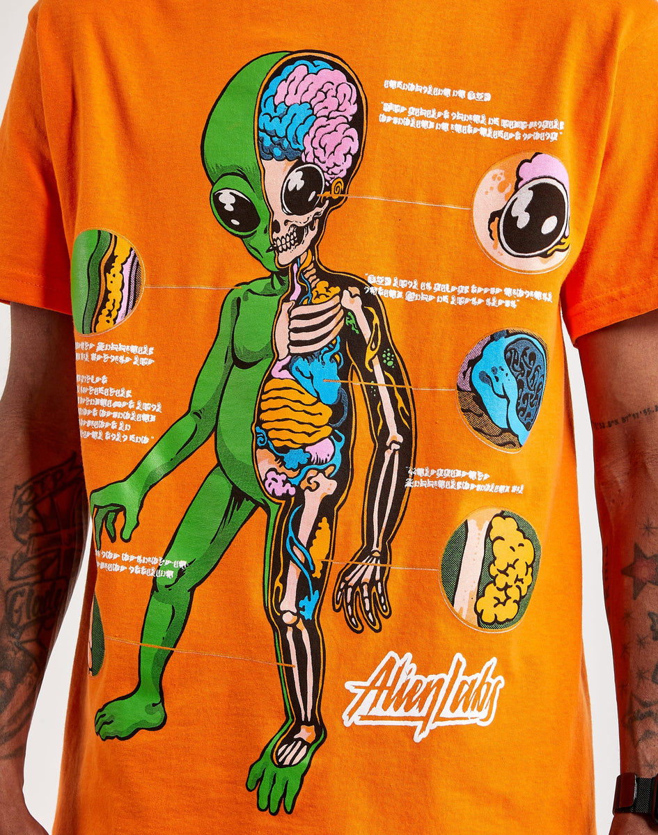 AlienLabs-DisectteeOrange-M-