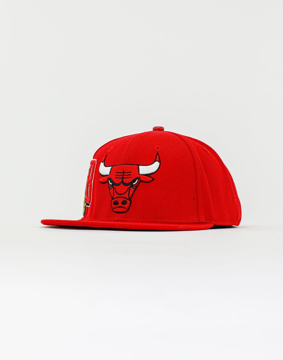 Pro Standard Red Blue Chicago Bulls Hat – Unleashed Streetwear and Apparel
