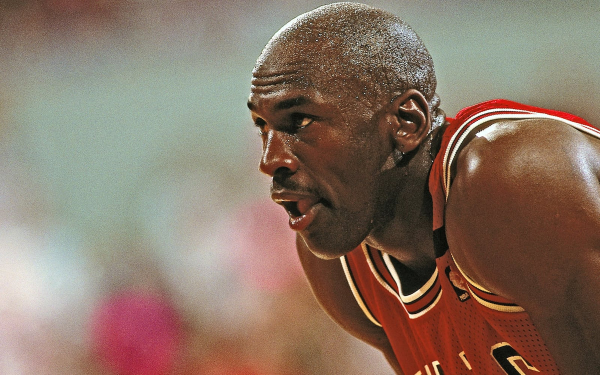 michael jordan and the rock