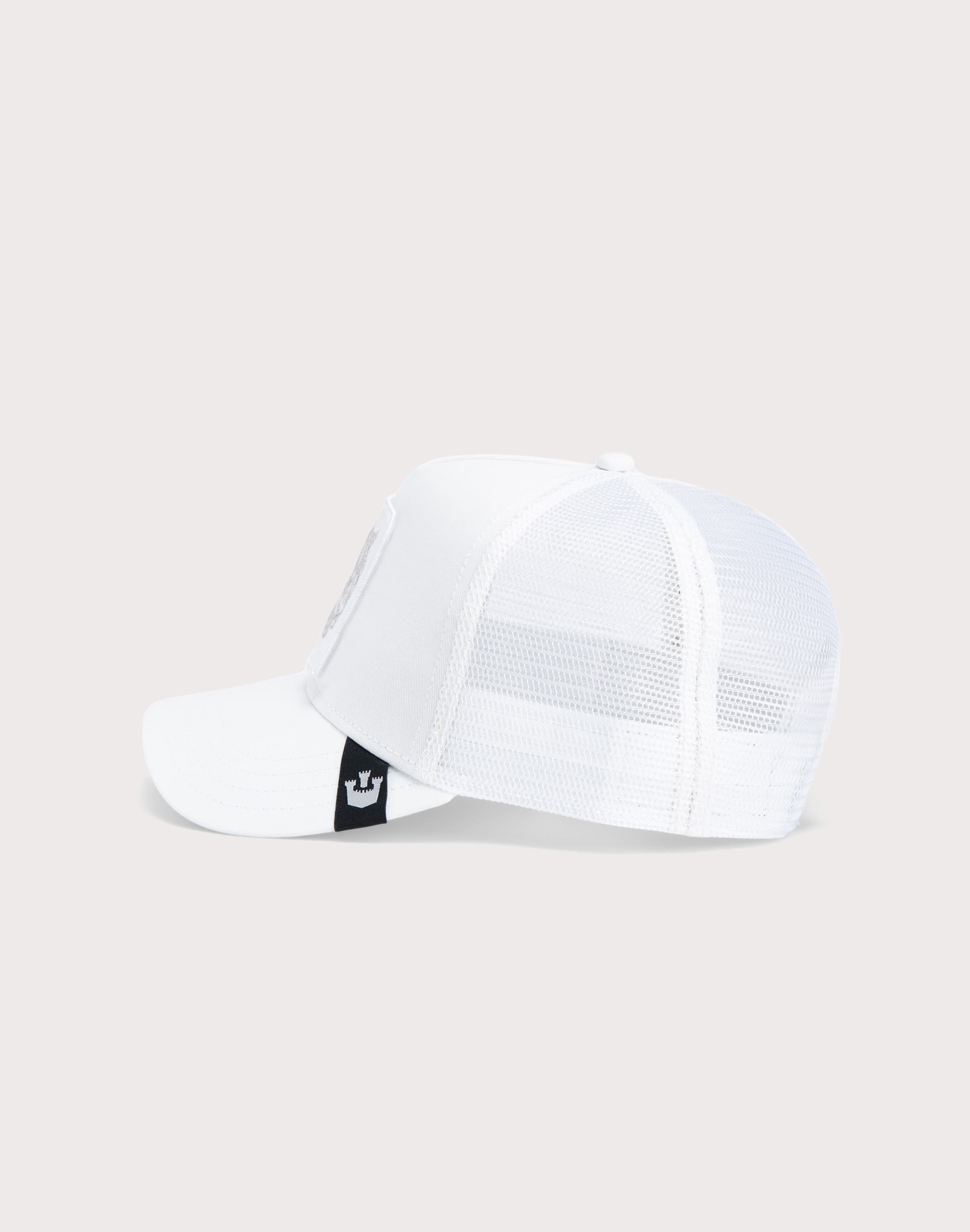 dtlr.com is where to buy