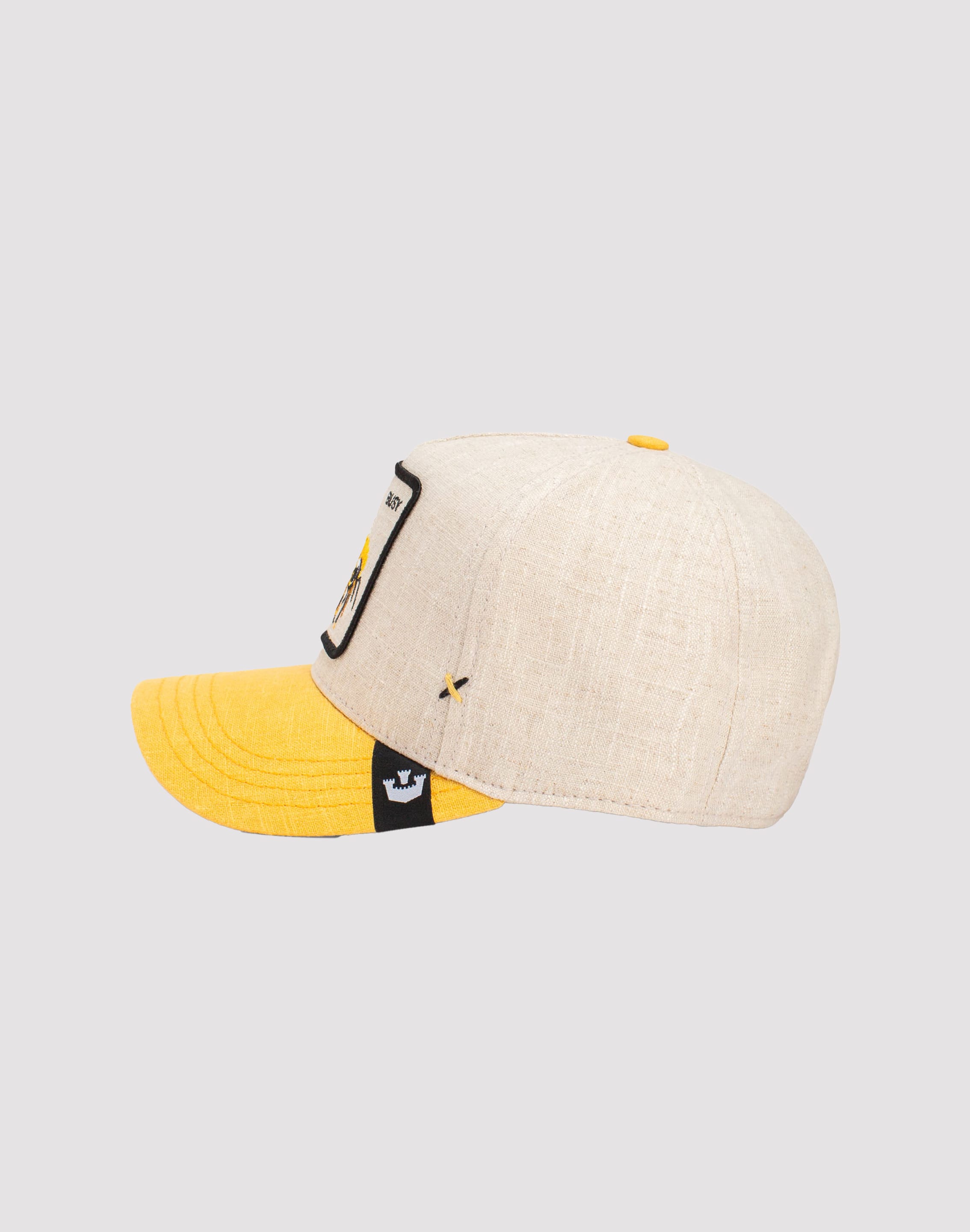 dtlr.com is where to buy