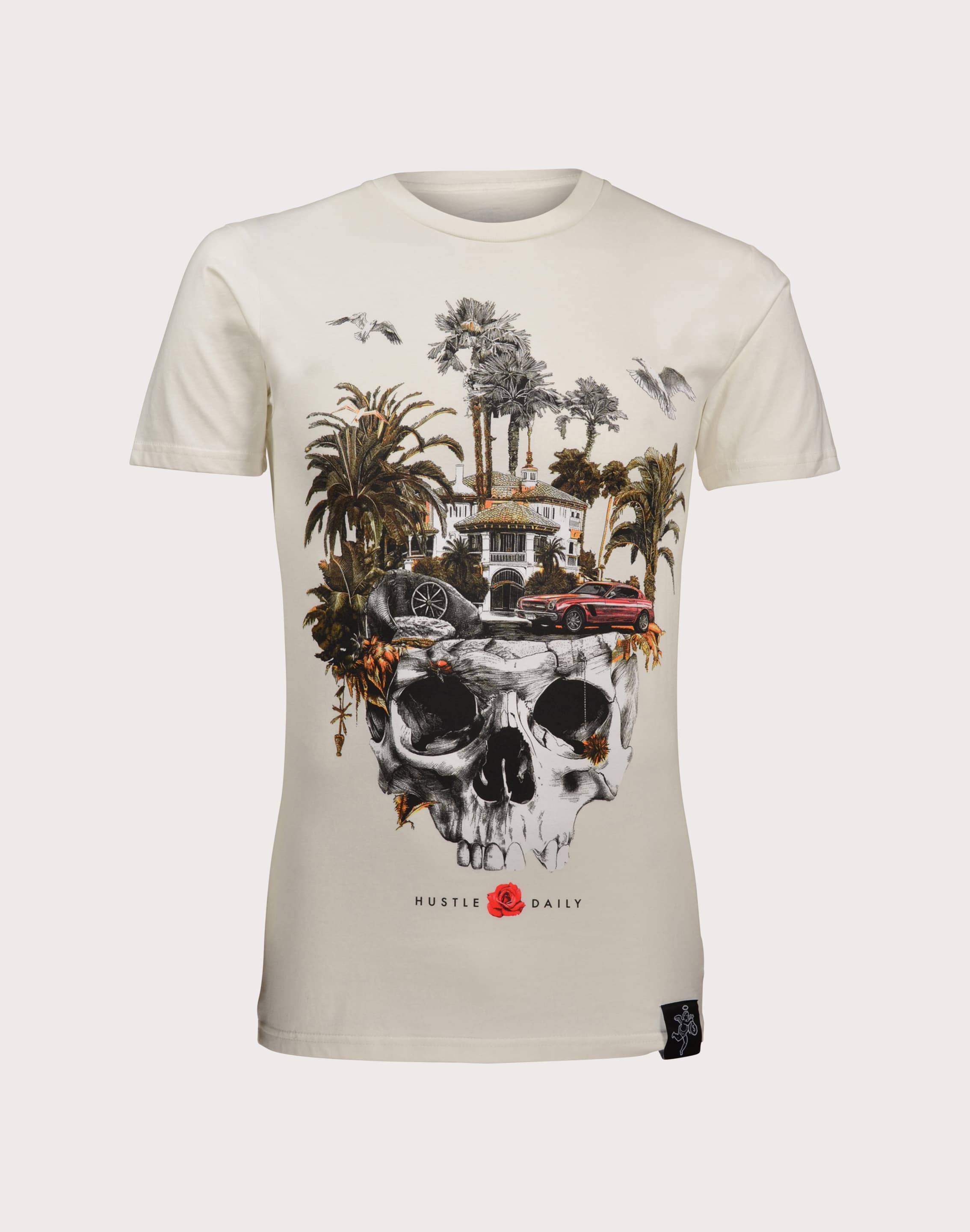 dtlr.com is where to buy