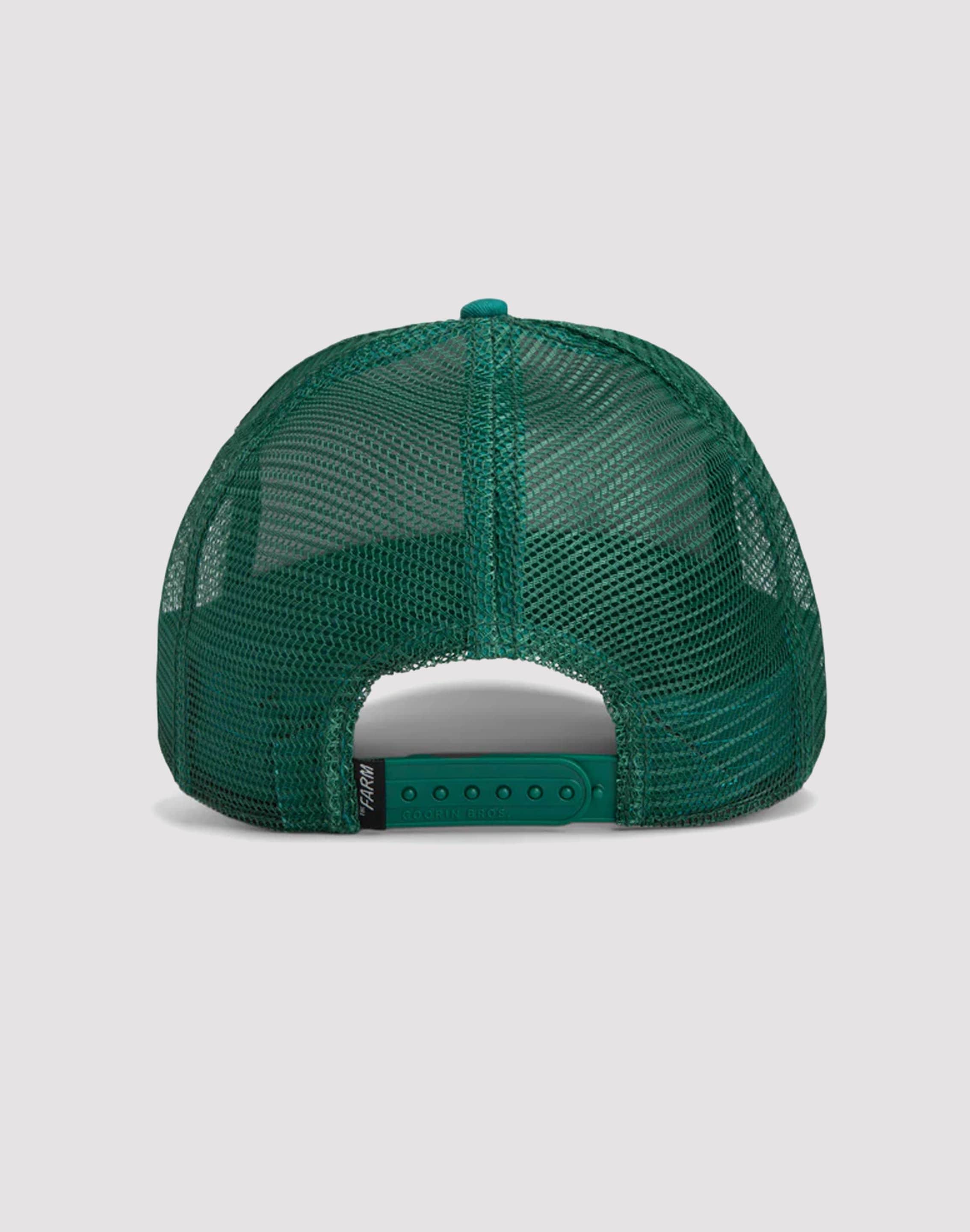 dtlr.com is where to buy