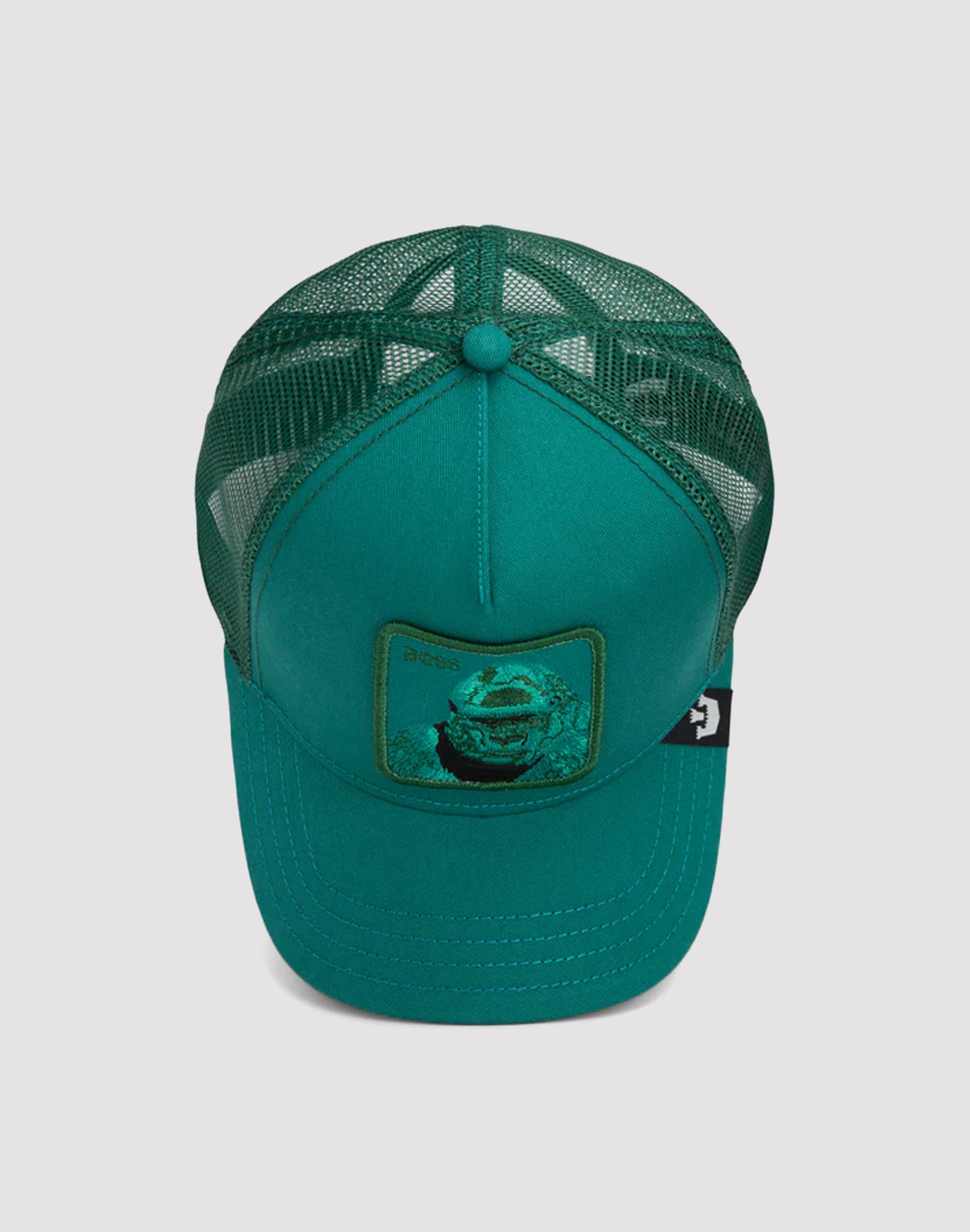 dtlr.com is where to buy