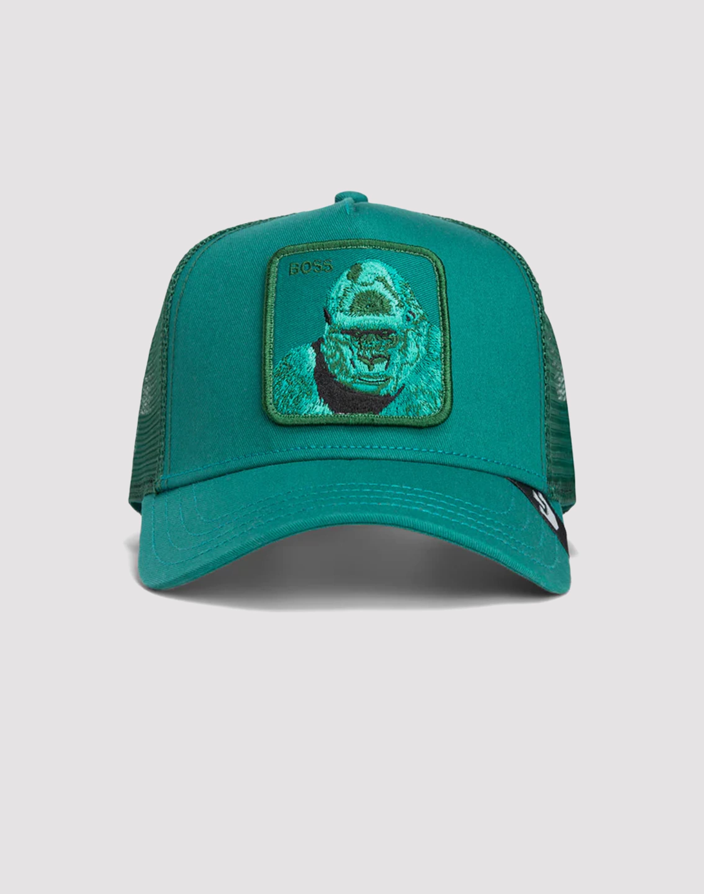 dtlr.com is where to buy