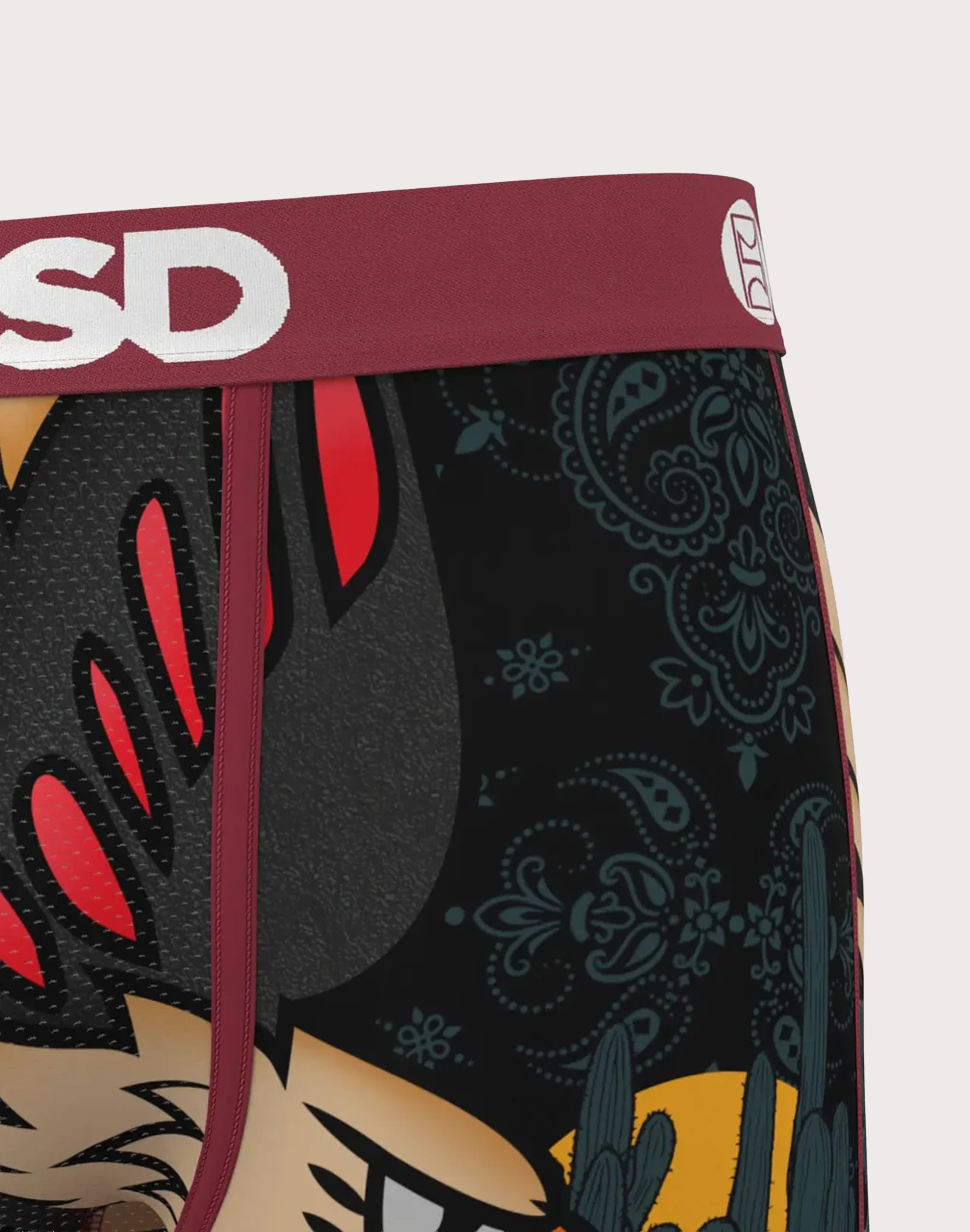Photo of Psd Underwear Eagle Soar Boxer Briefs