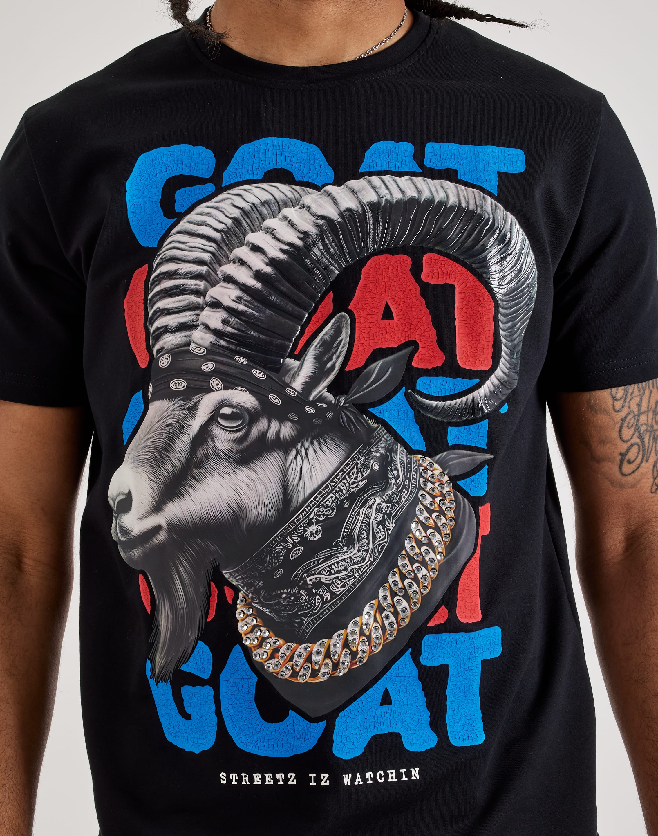 サルセーション　トップス Streetz Iz Watchin Goat Tee – DTLR