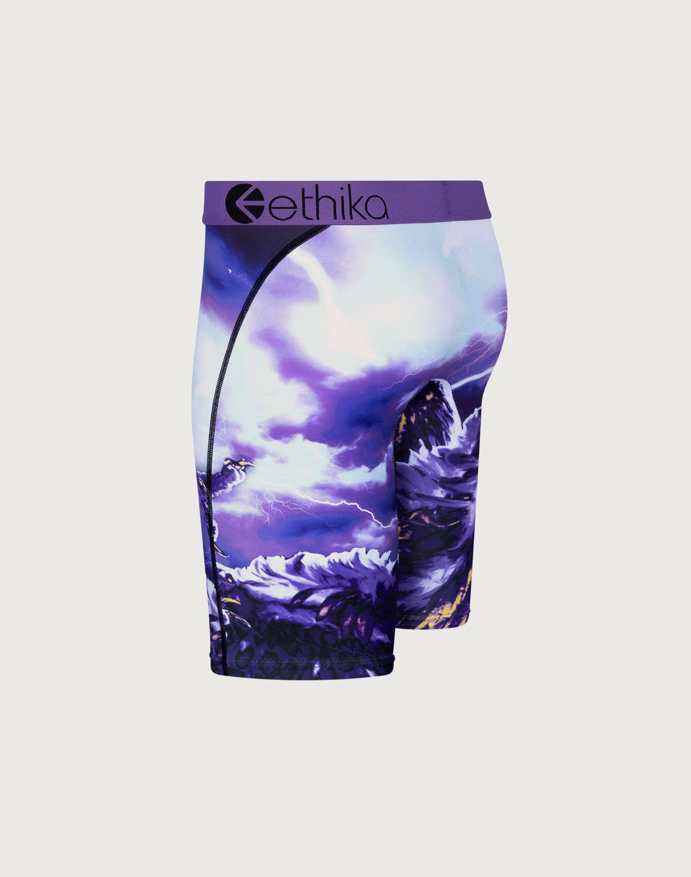 Photo of Ethika Two Birds Boxer Briefs