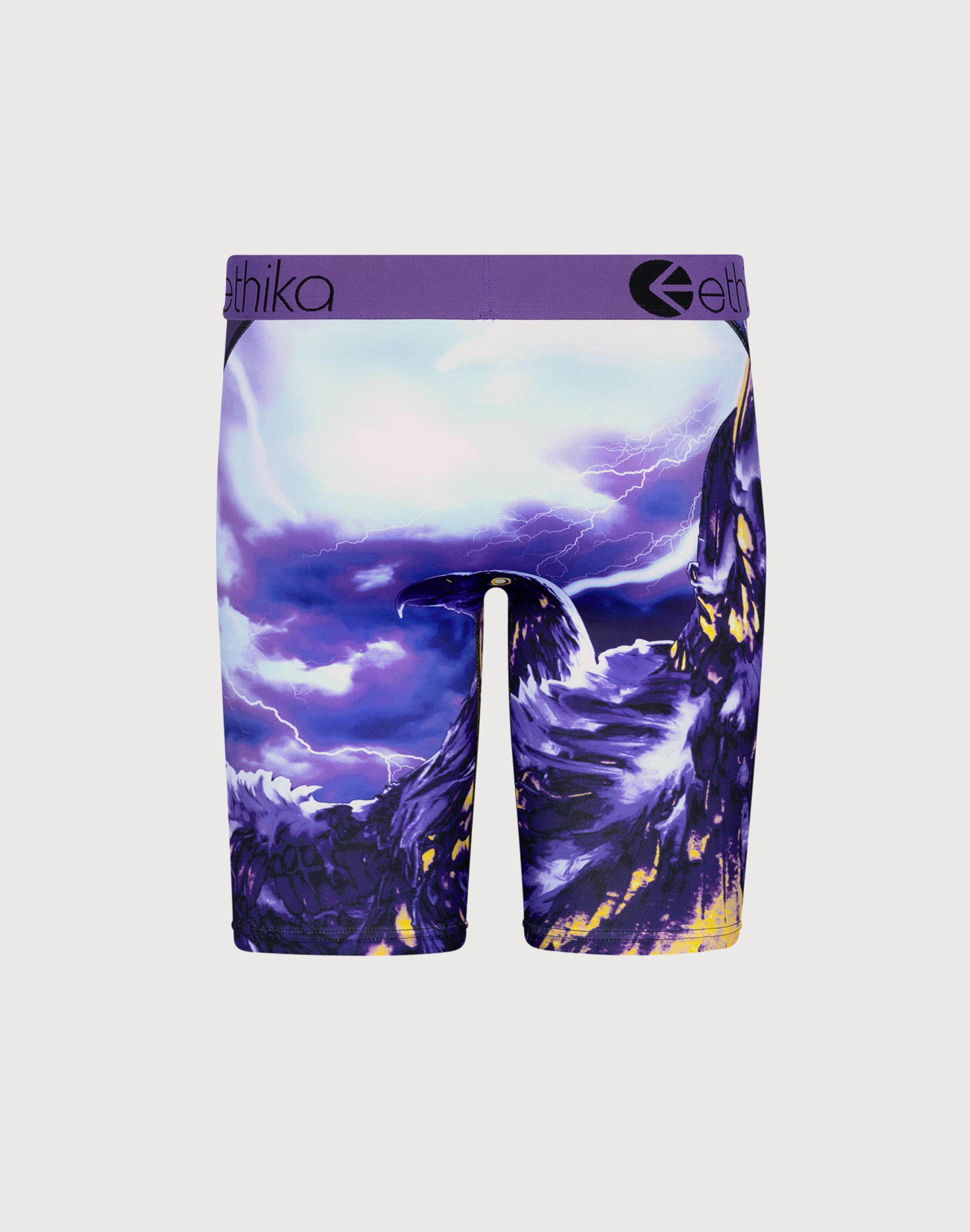 Photo of Ethika Two Birds Boxer Briefs