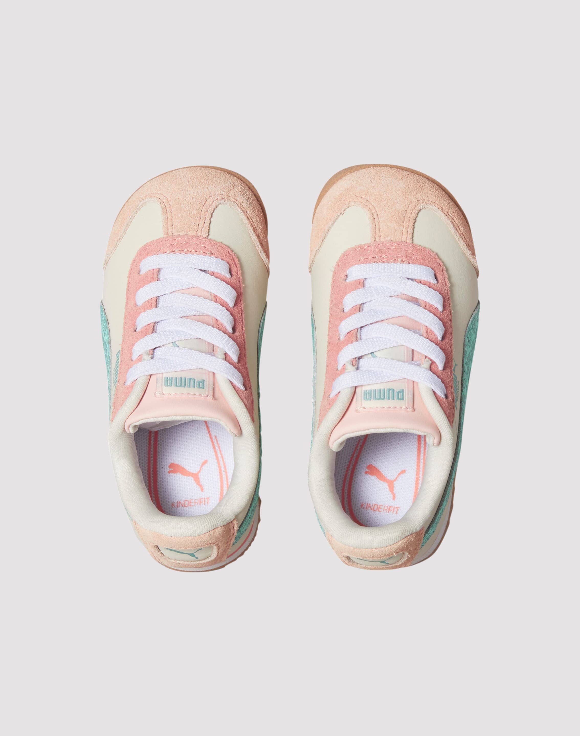 dtlr.com is where to buy