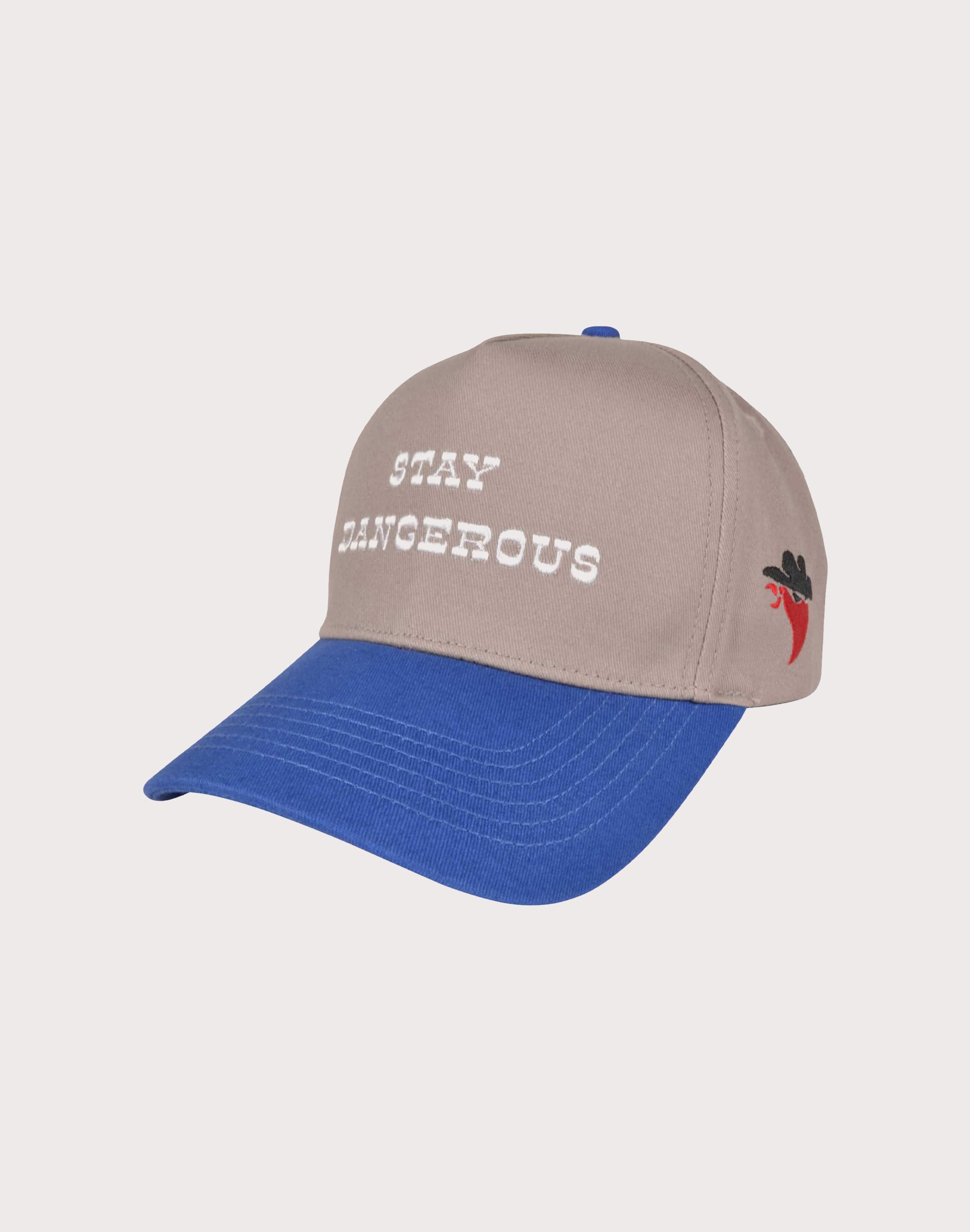 Photo of REFERENCE CO . Stay Dangerous Grey Snapback