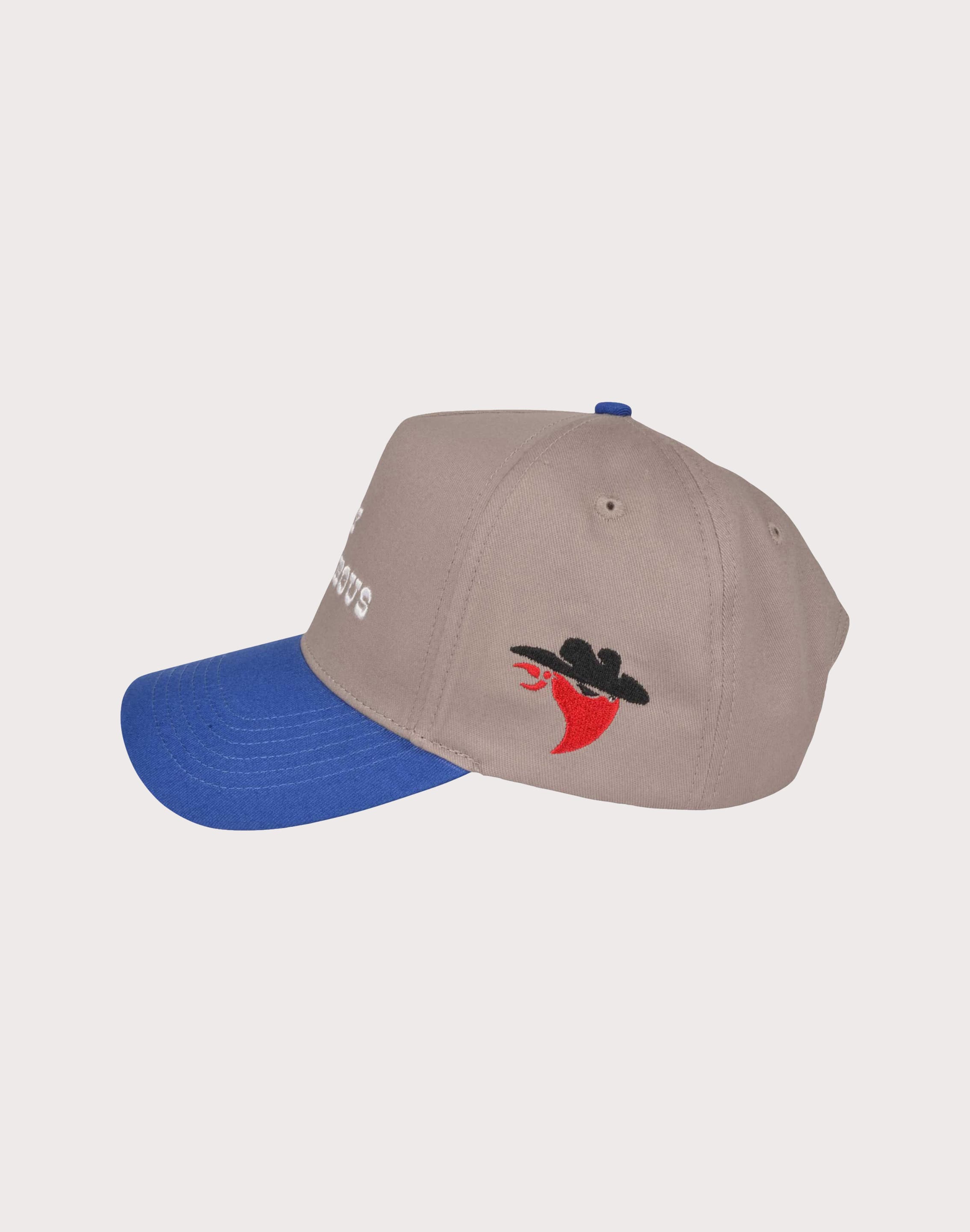Photo of REFERENCE CO . Stay Dangerous Grey Snapback