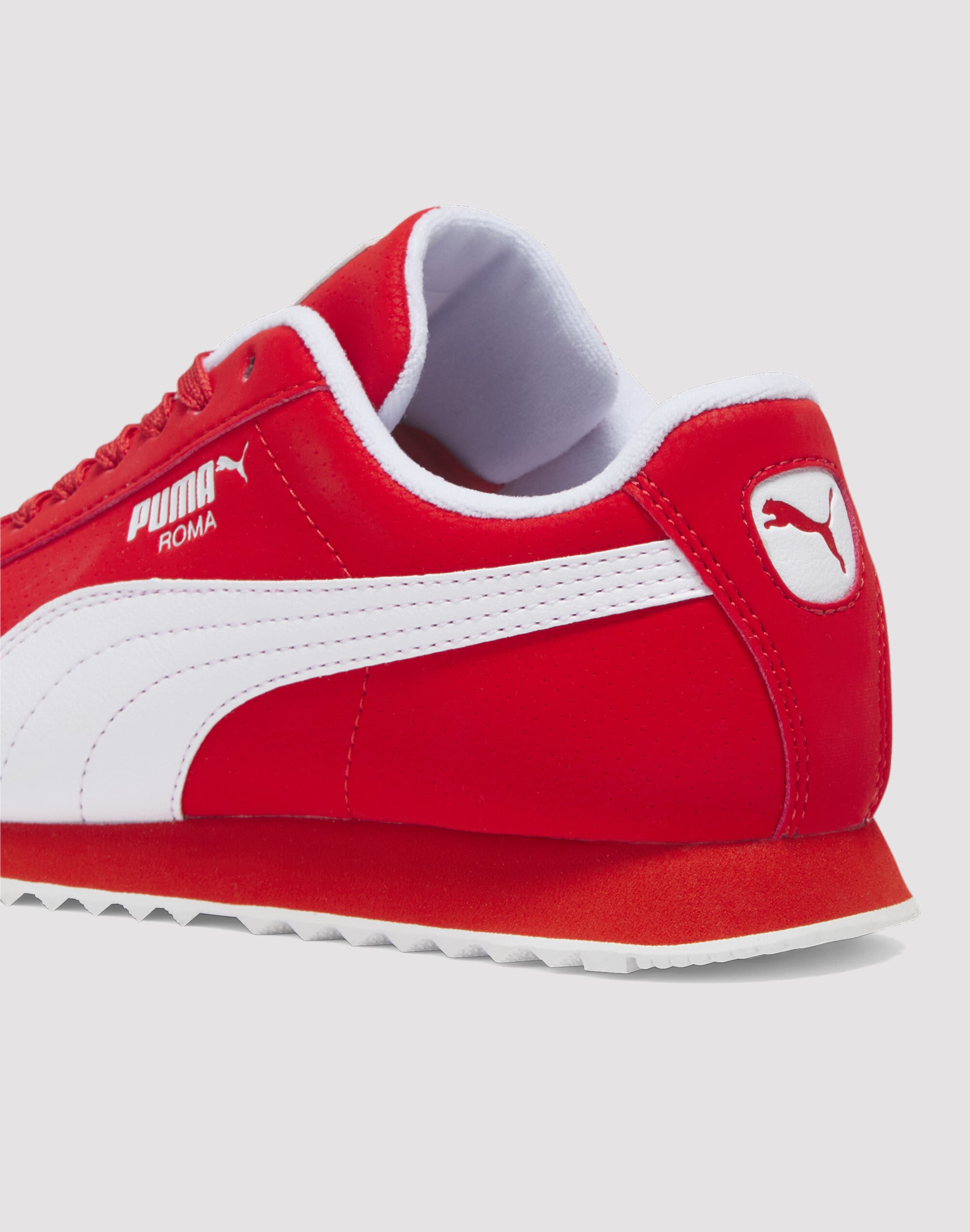 dtlr.com is where to buy