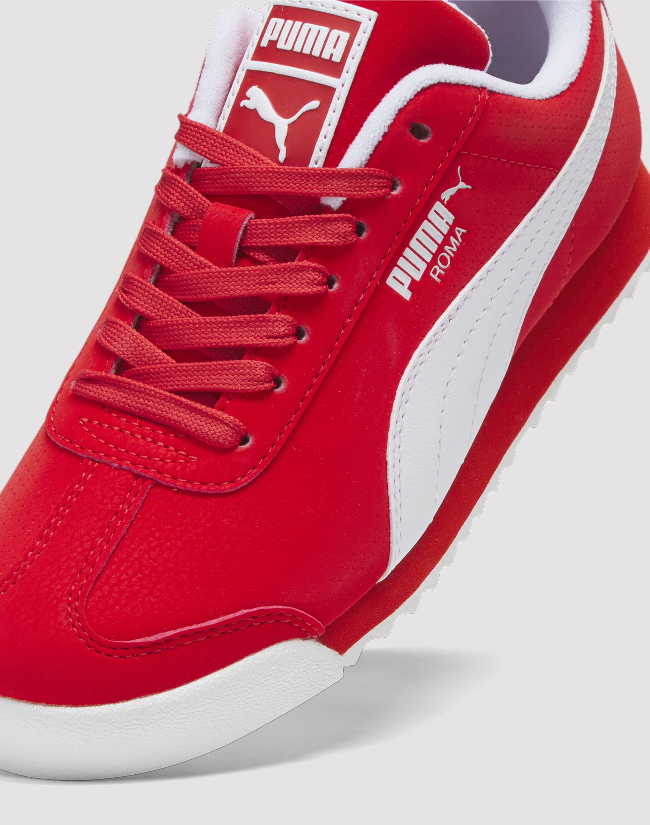 dtlr.com is where to buy