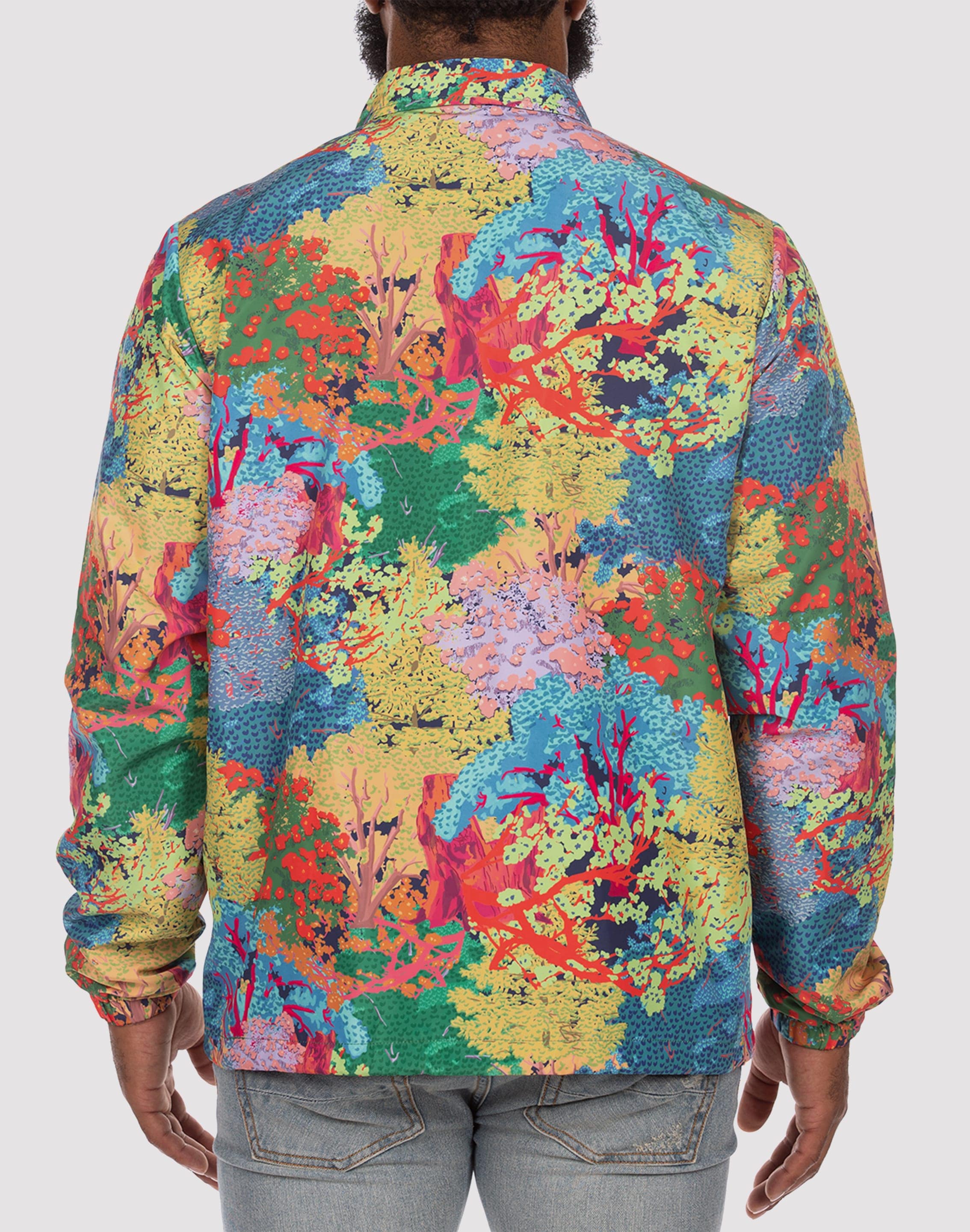 dtlr.com is where to buy