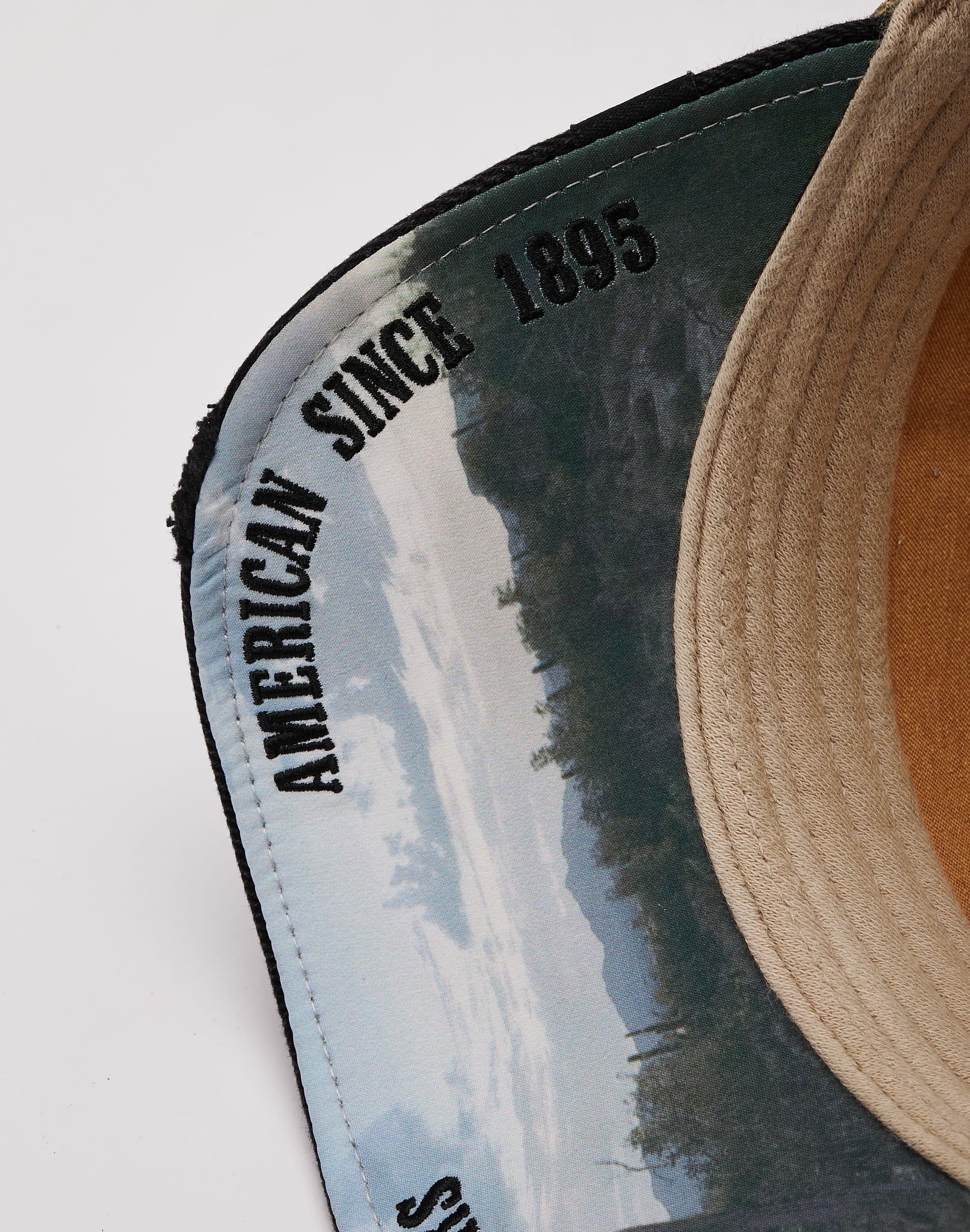 dtlr.com is where to buy