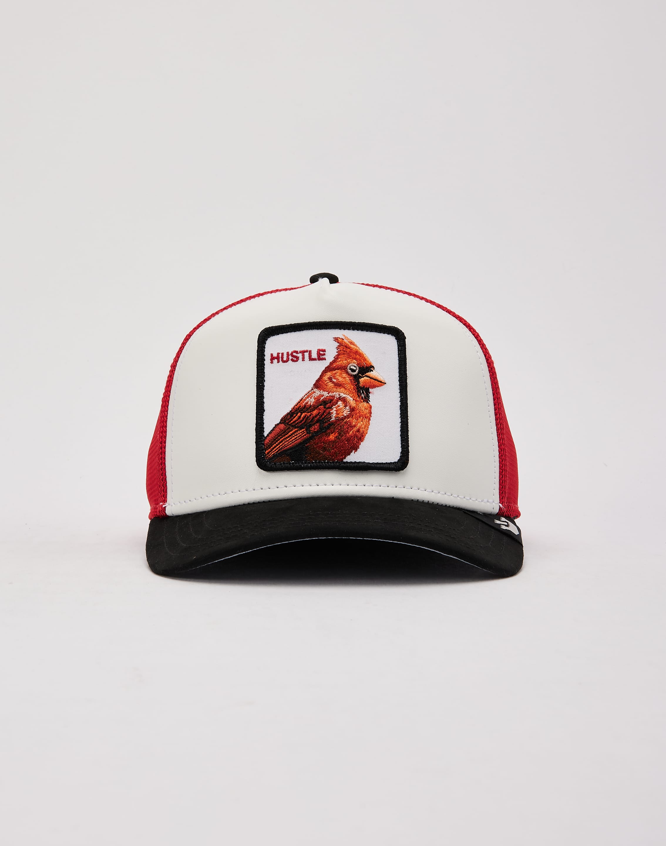 dtlr.com is where to buy