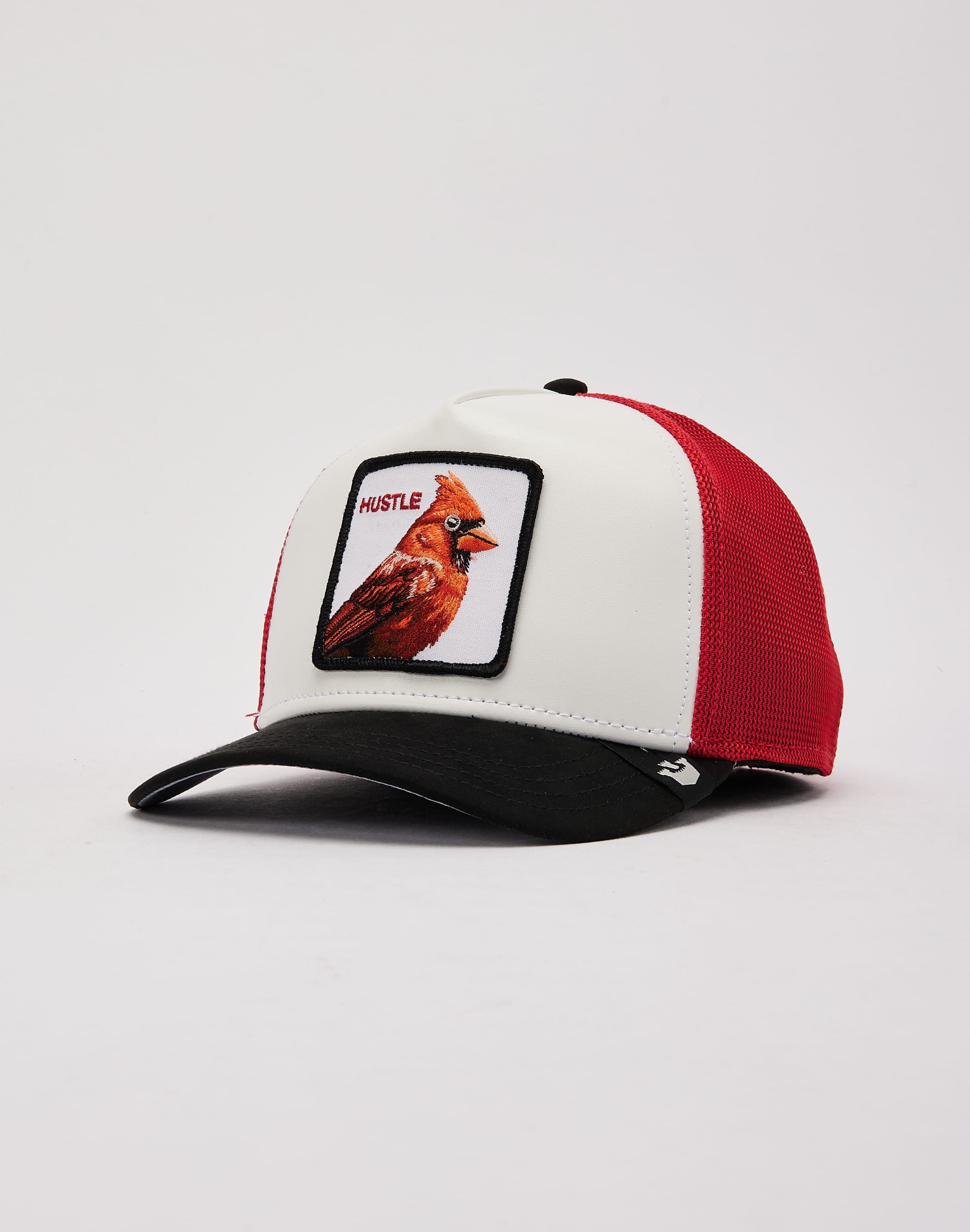 dtlr.com is where to buy