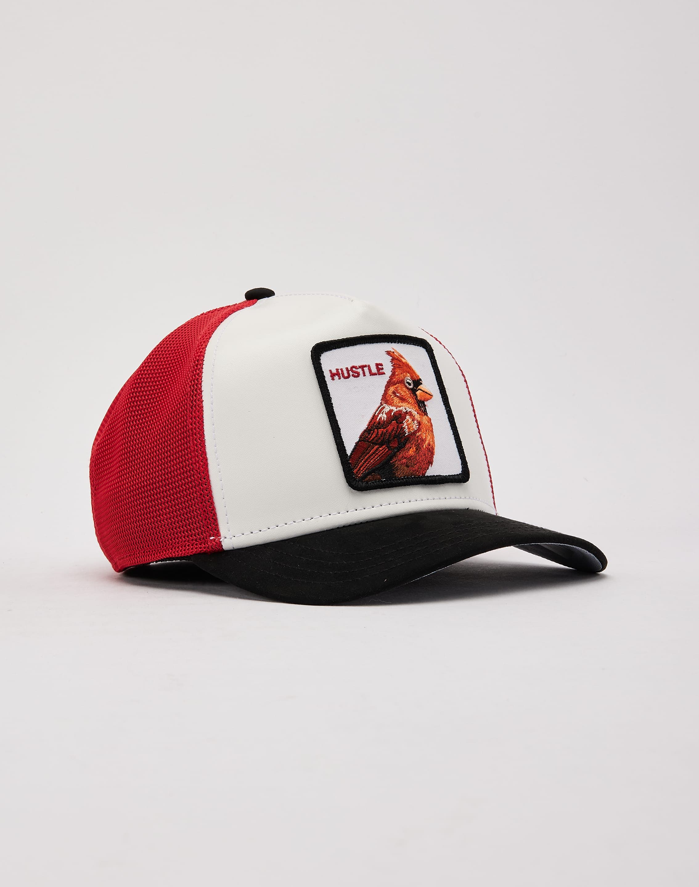 dtlr.com is where to buy