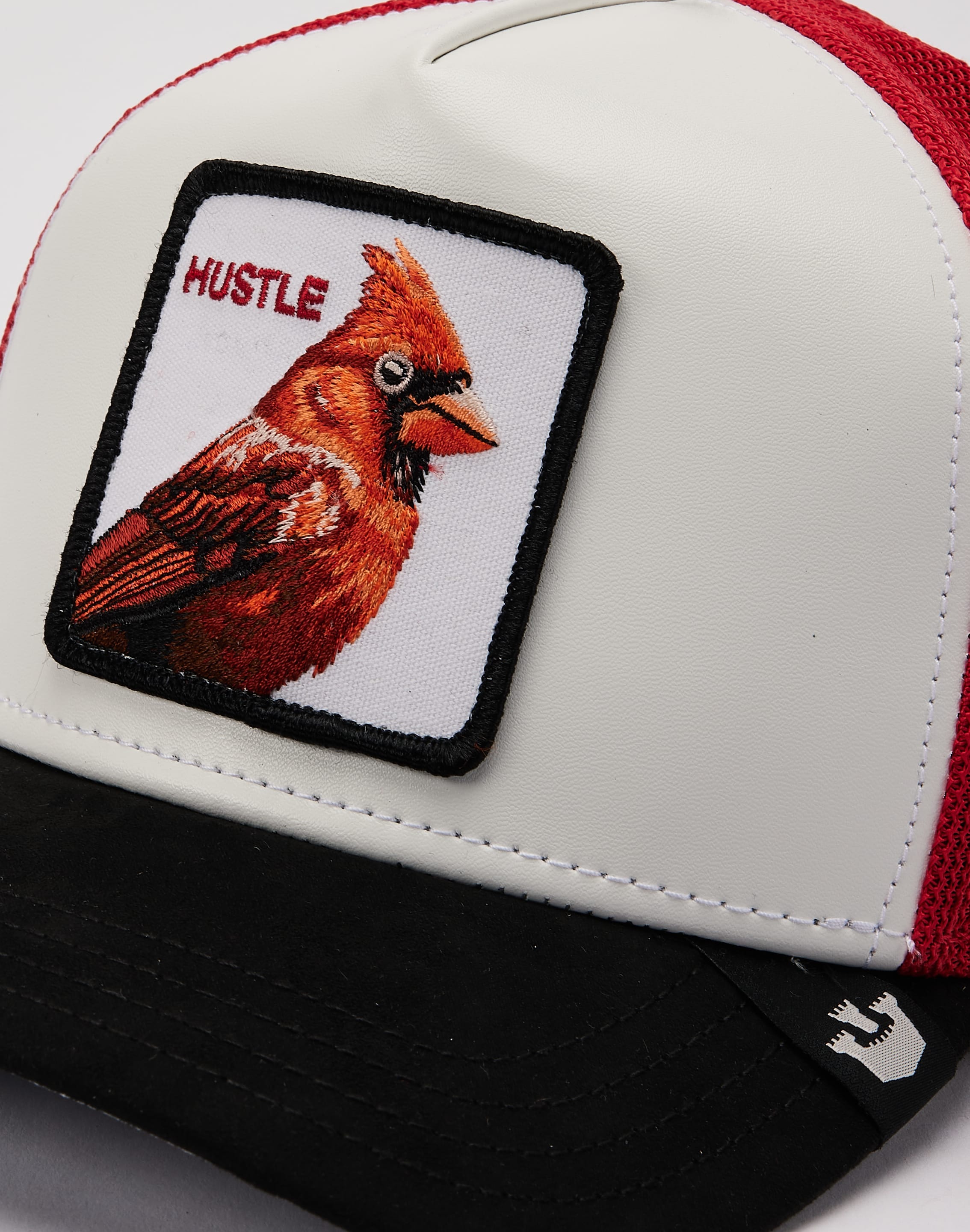 dtlr.com is where to buy