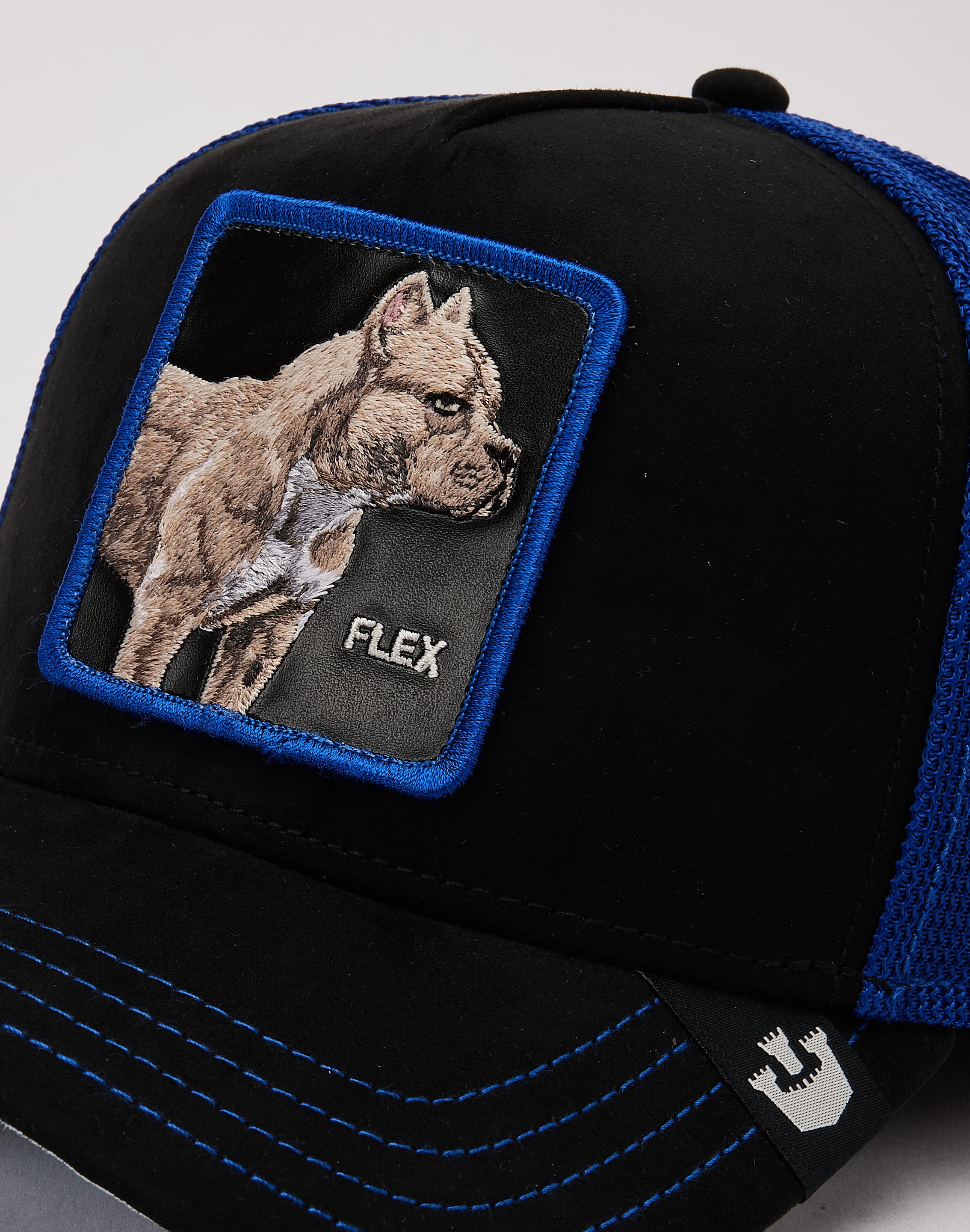 dtlr.com is where to buy