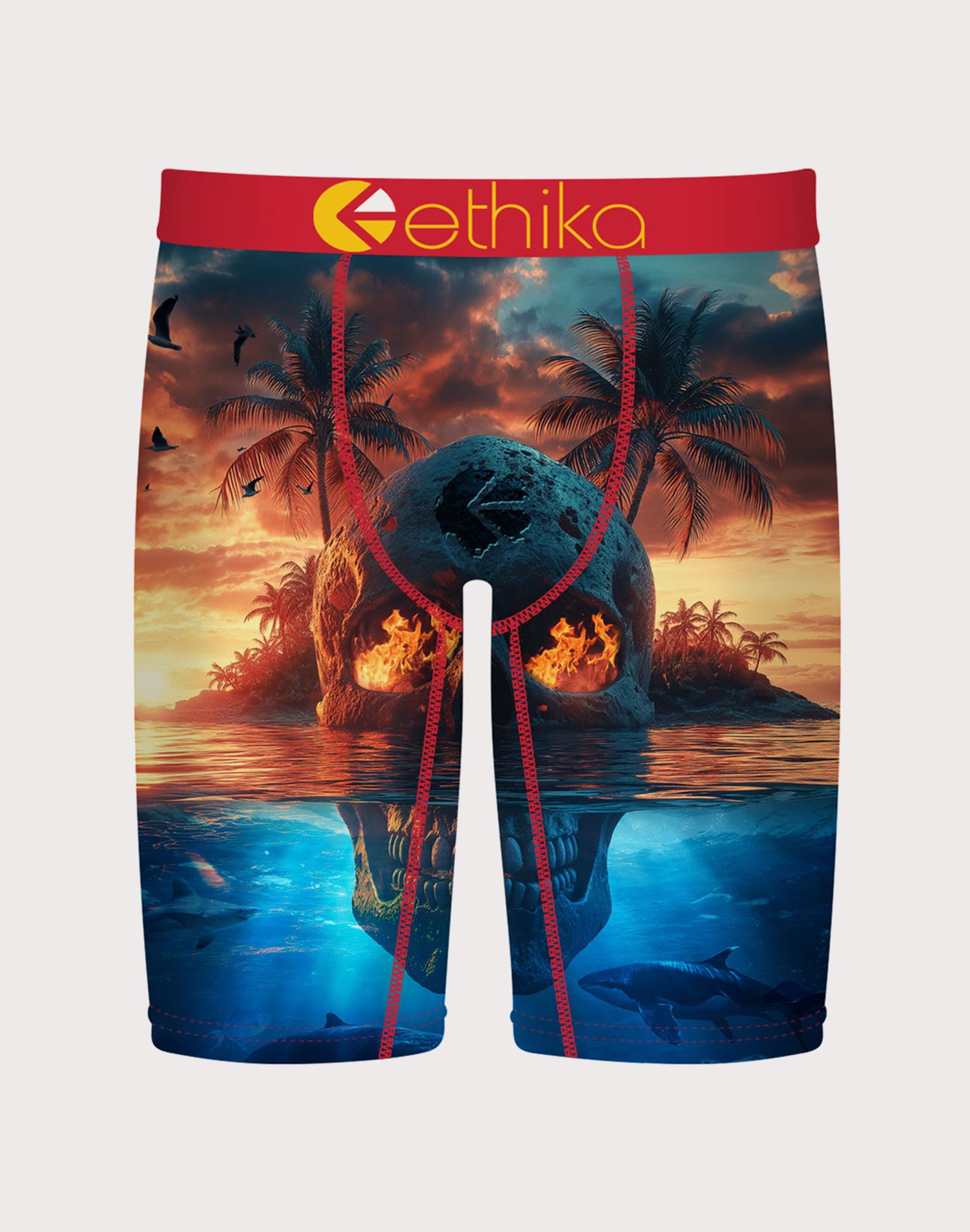 dtlr.com is where to buy