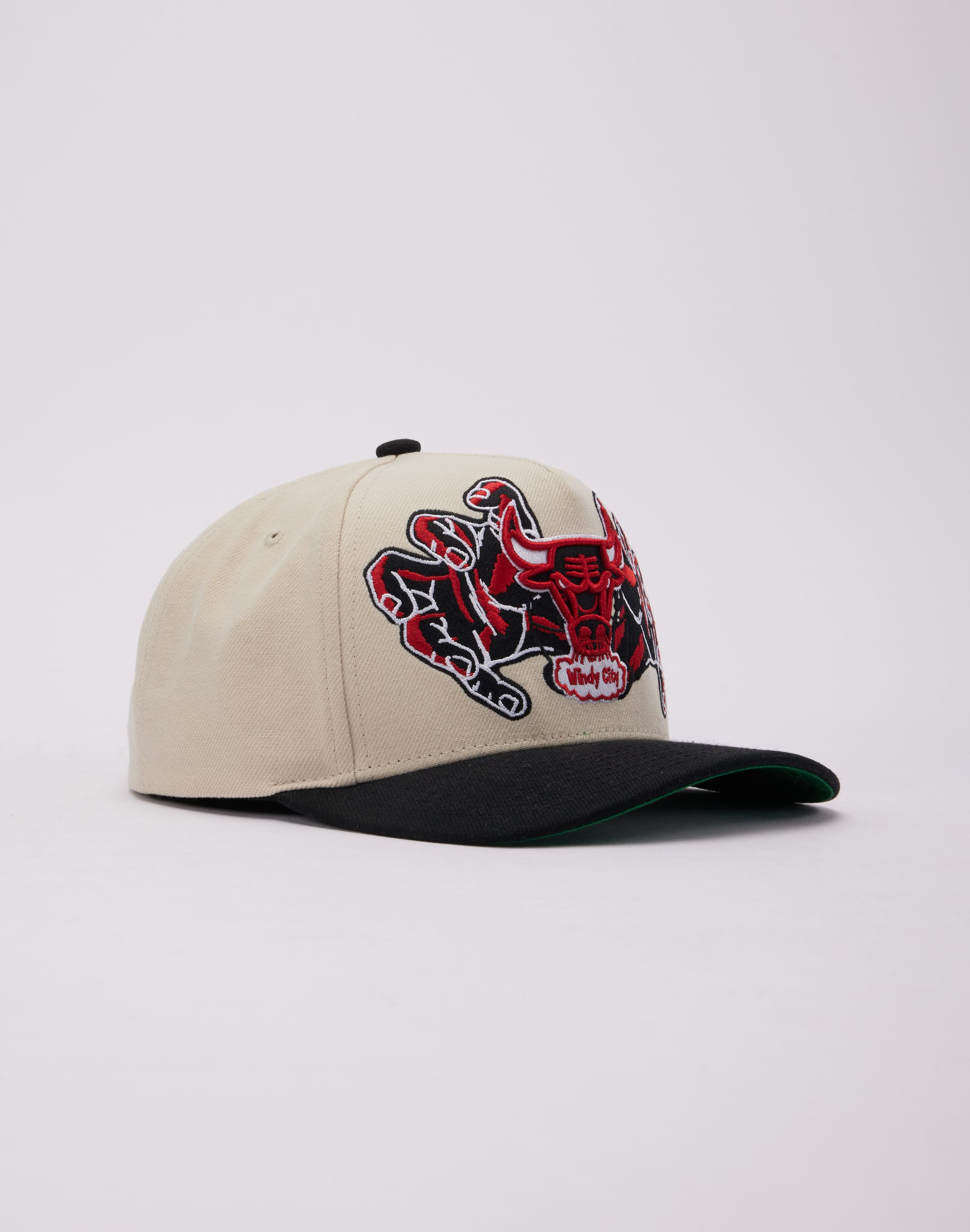 Mitchell & Ness NBA Chicago Bulls Crystal Ball Pro Snapback Hat – DTLR