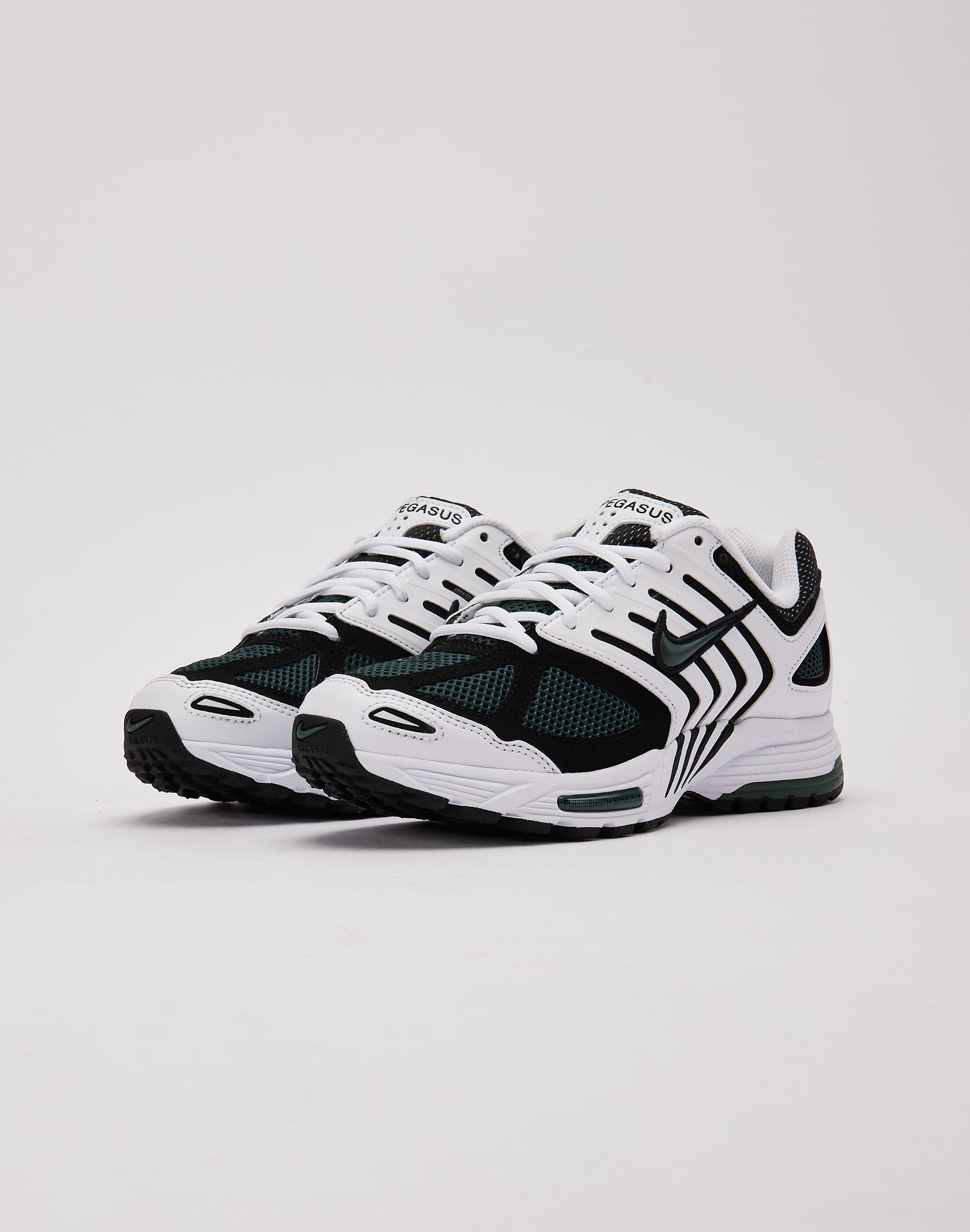 Nike Air Pegasus 2005