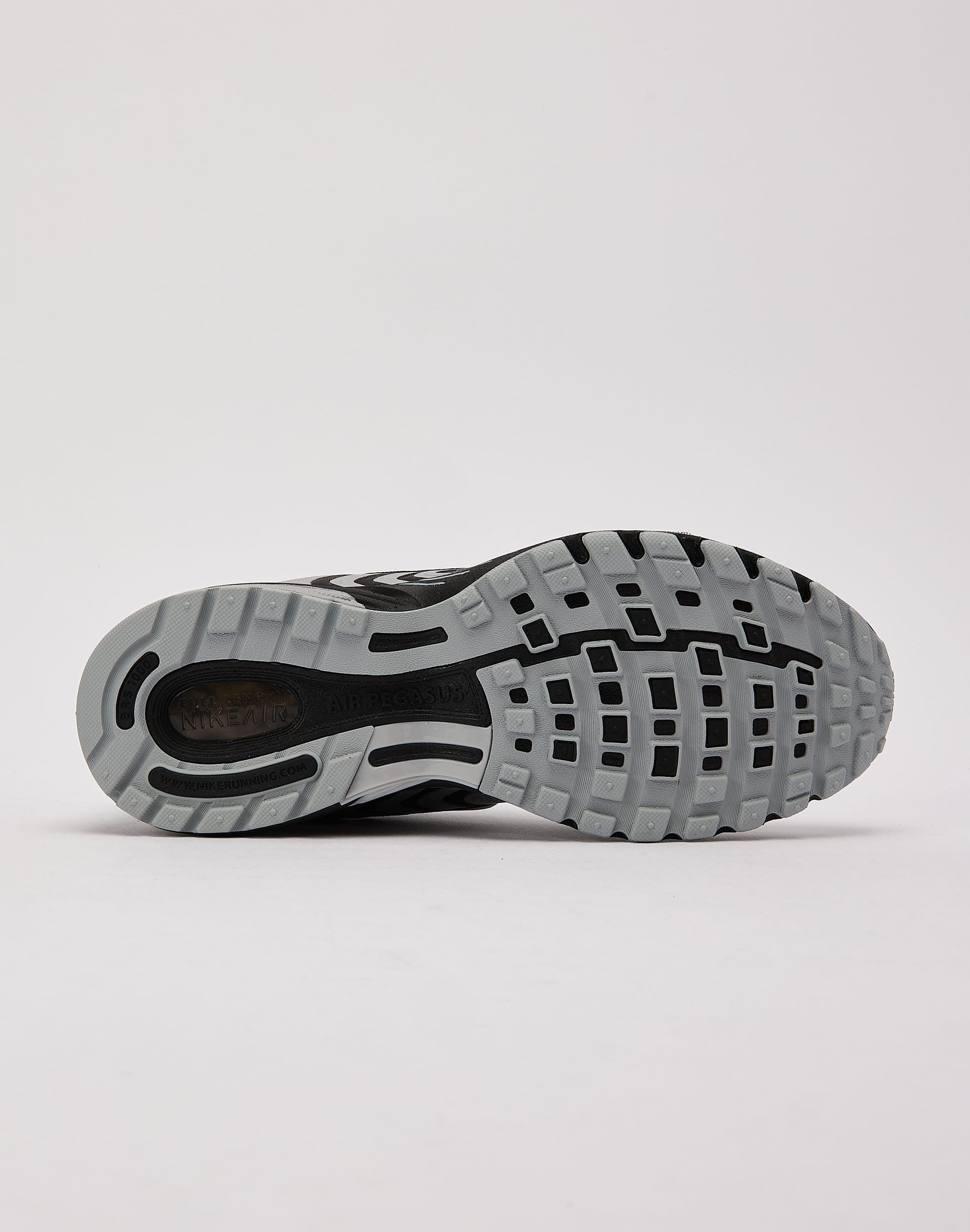 Nike Air Pegasus 2005