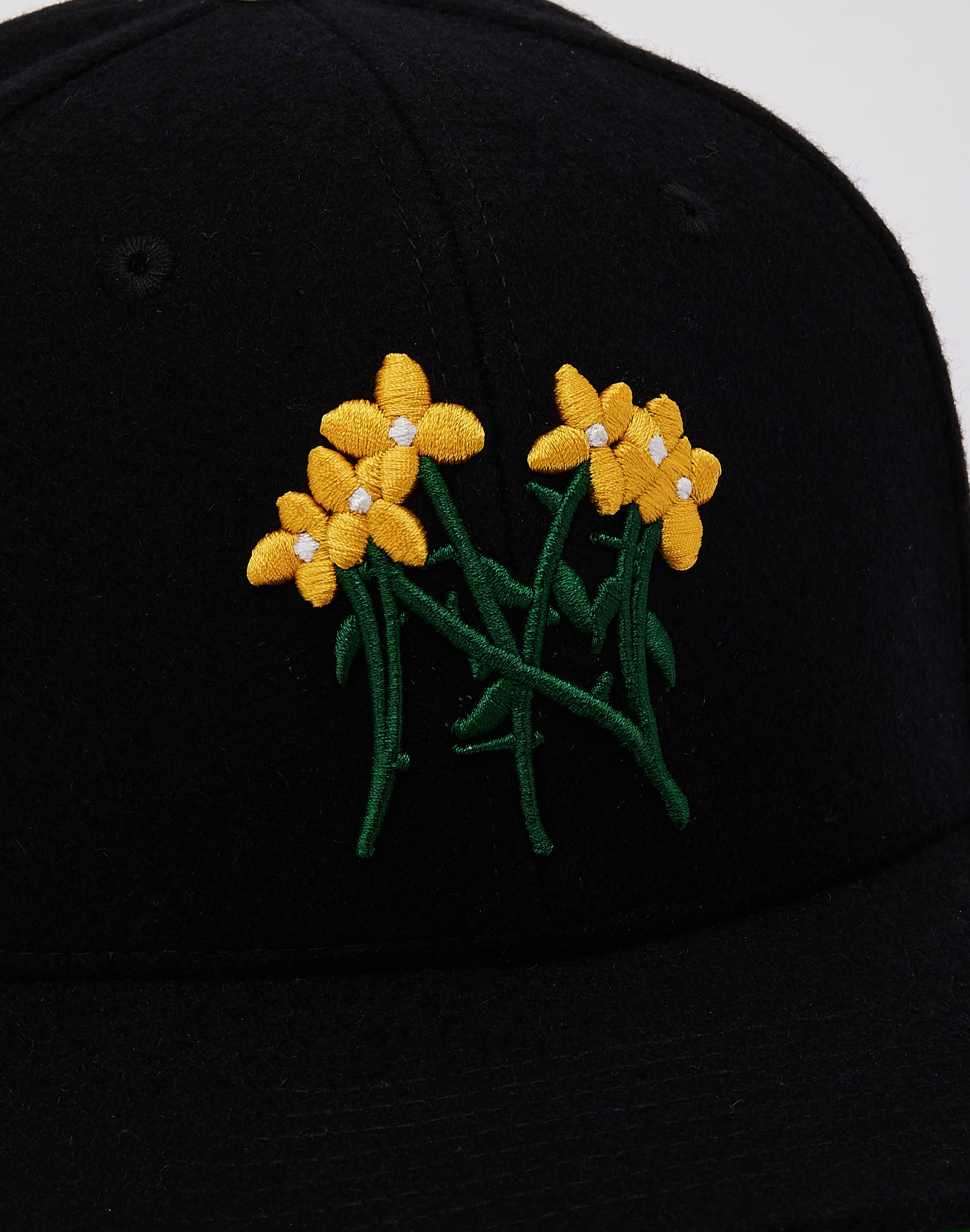 dtlr.com is where to buy