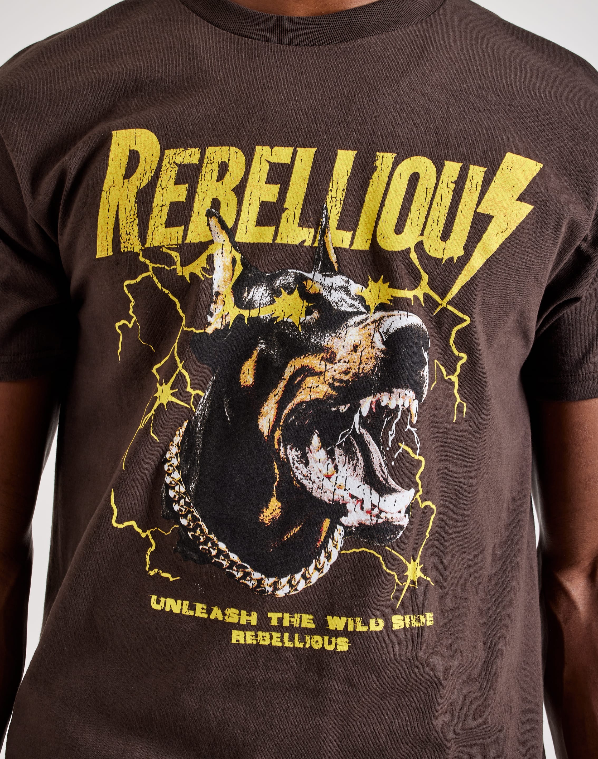 dtlr.com is where to buy