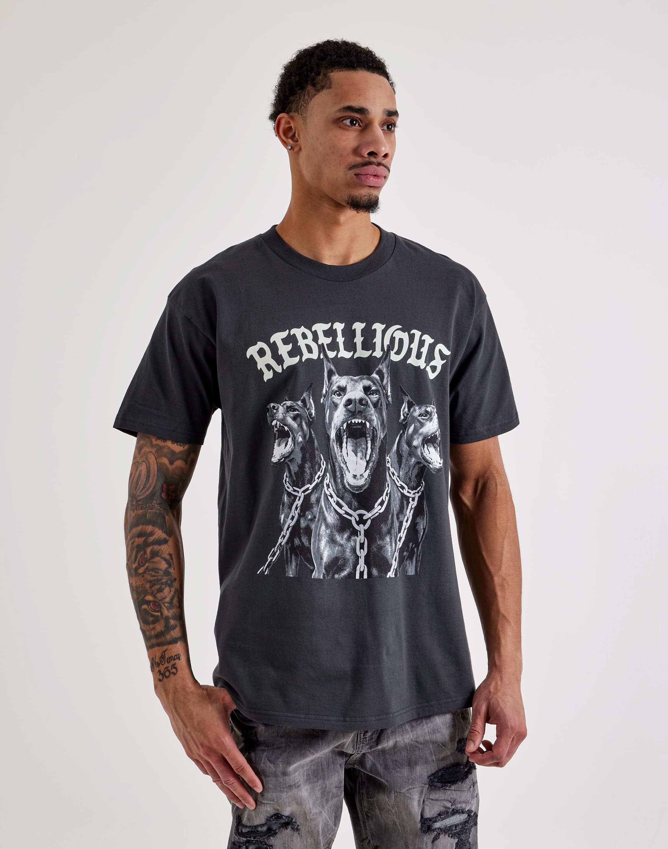 dtlr.com is where to buy