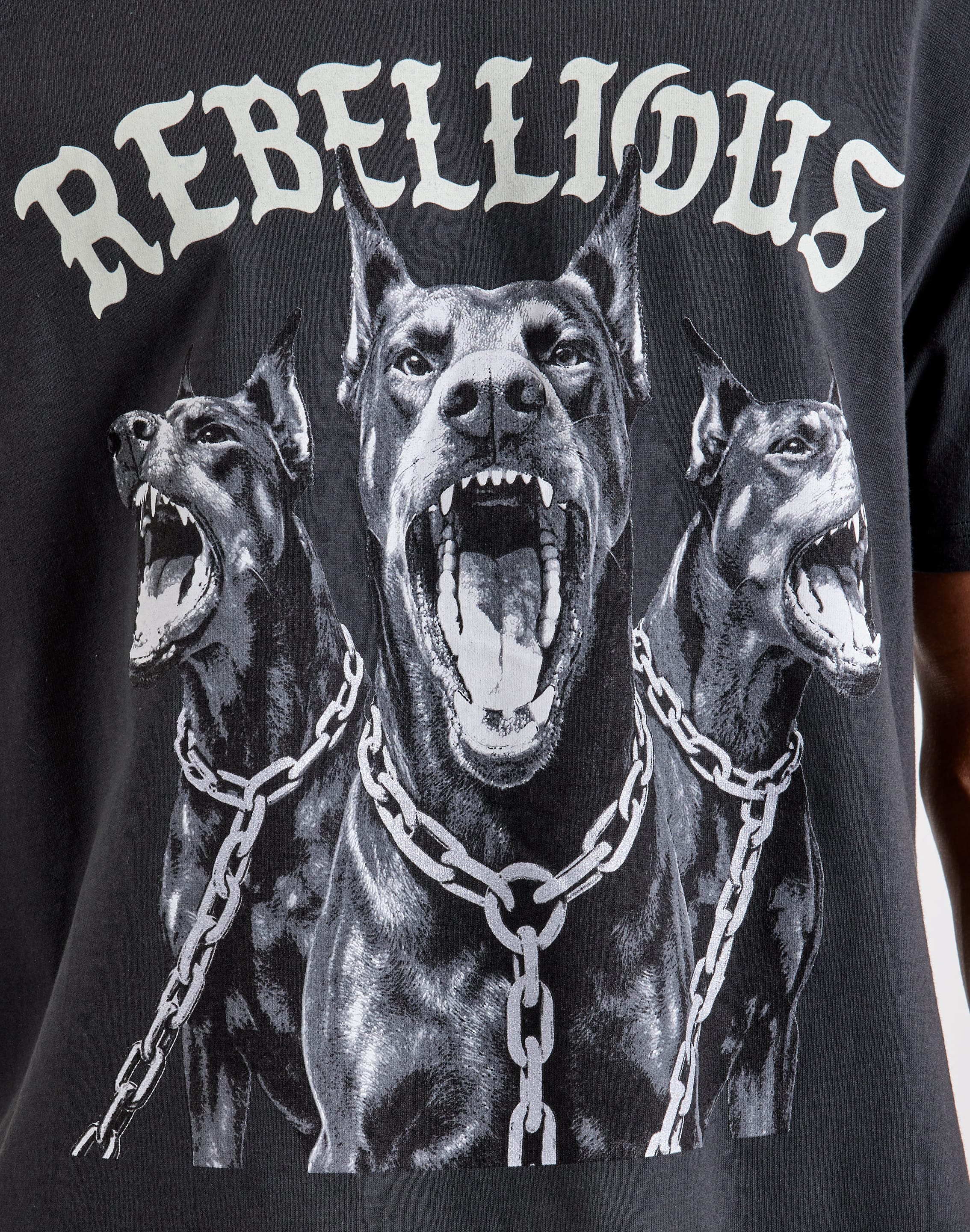 dtlr.com is where to buy