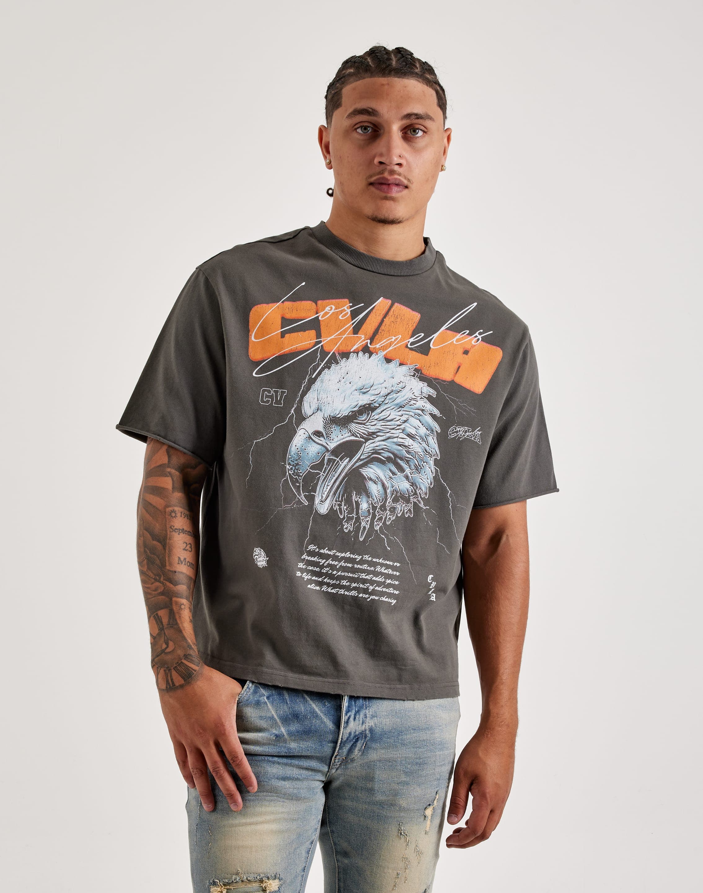 dtlr.com is where to buy