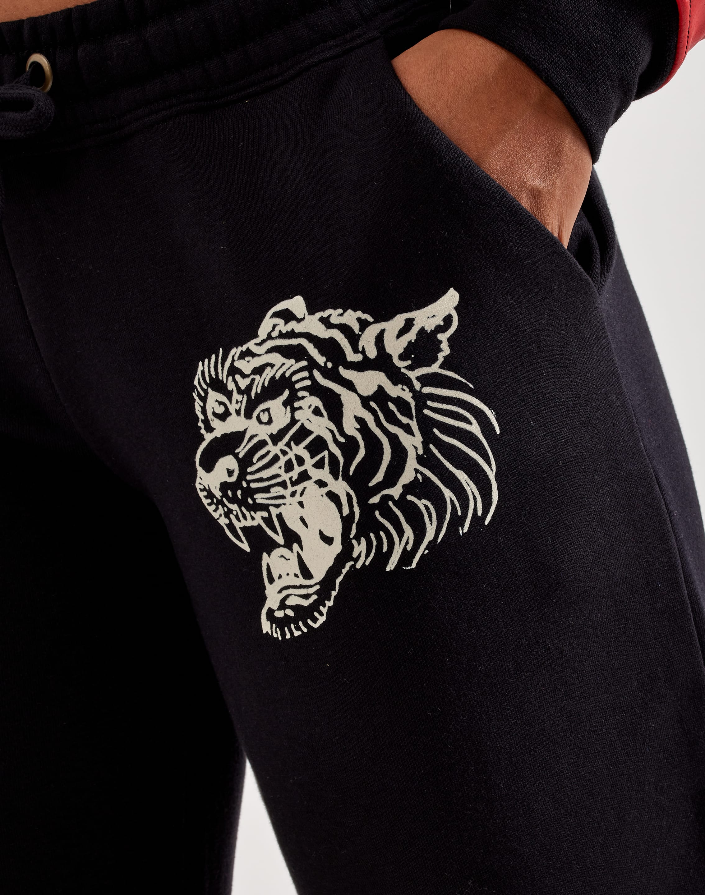 dtlr.com is where to buy