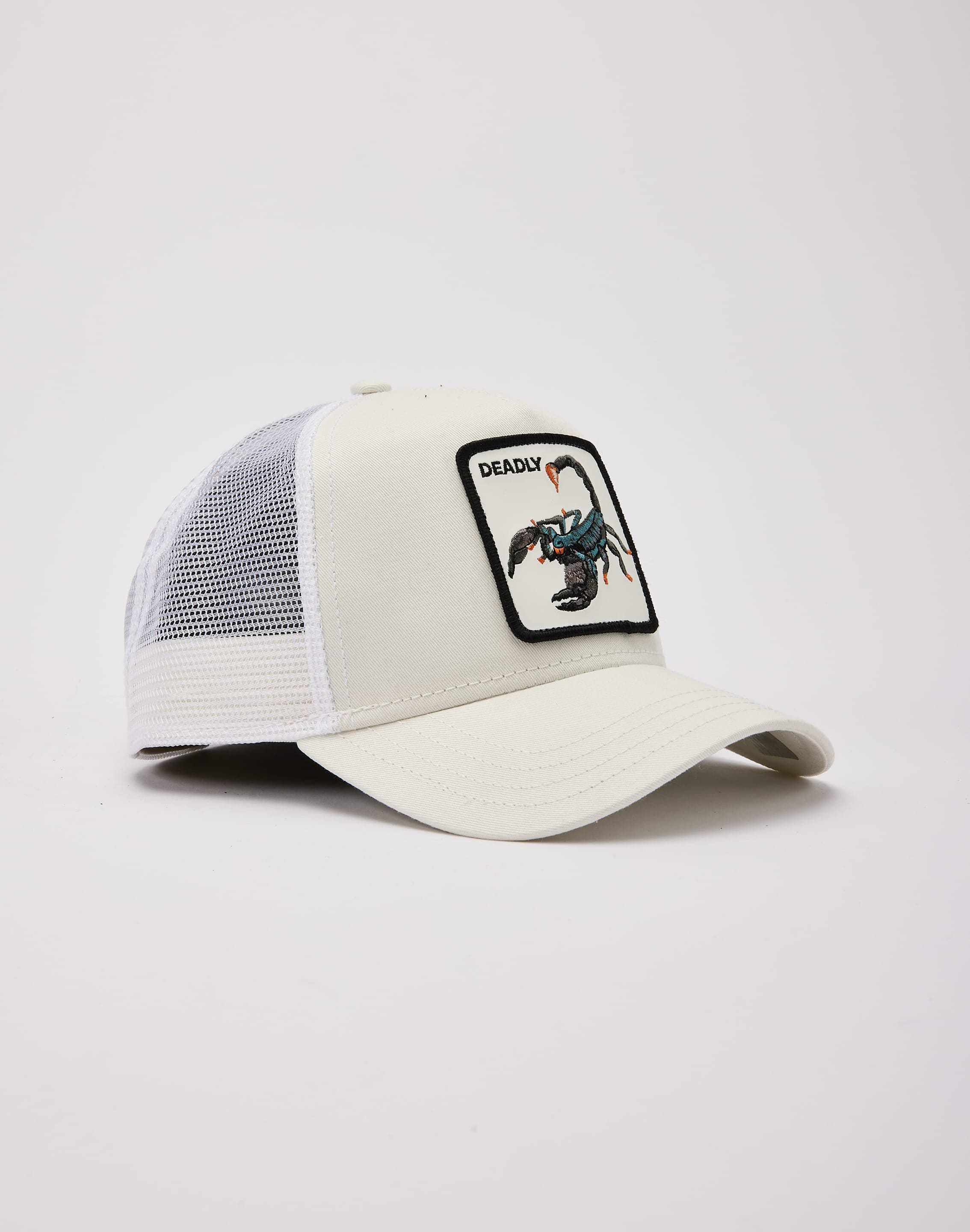 dtlr.com is where to buy