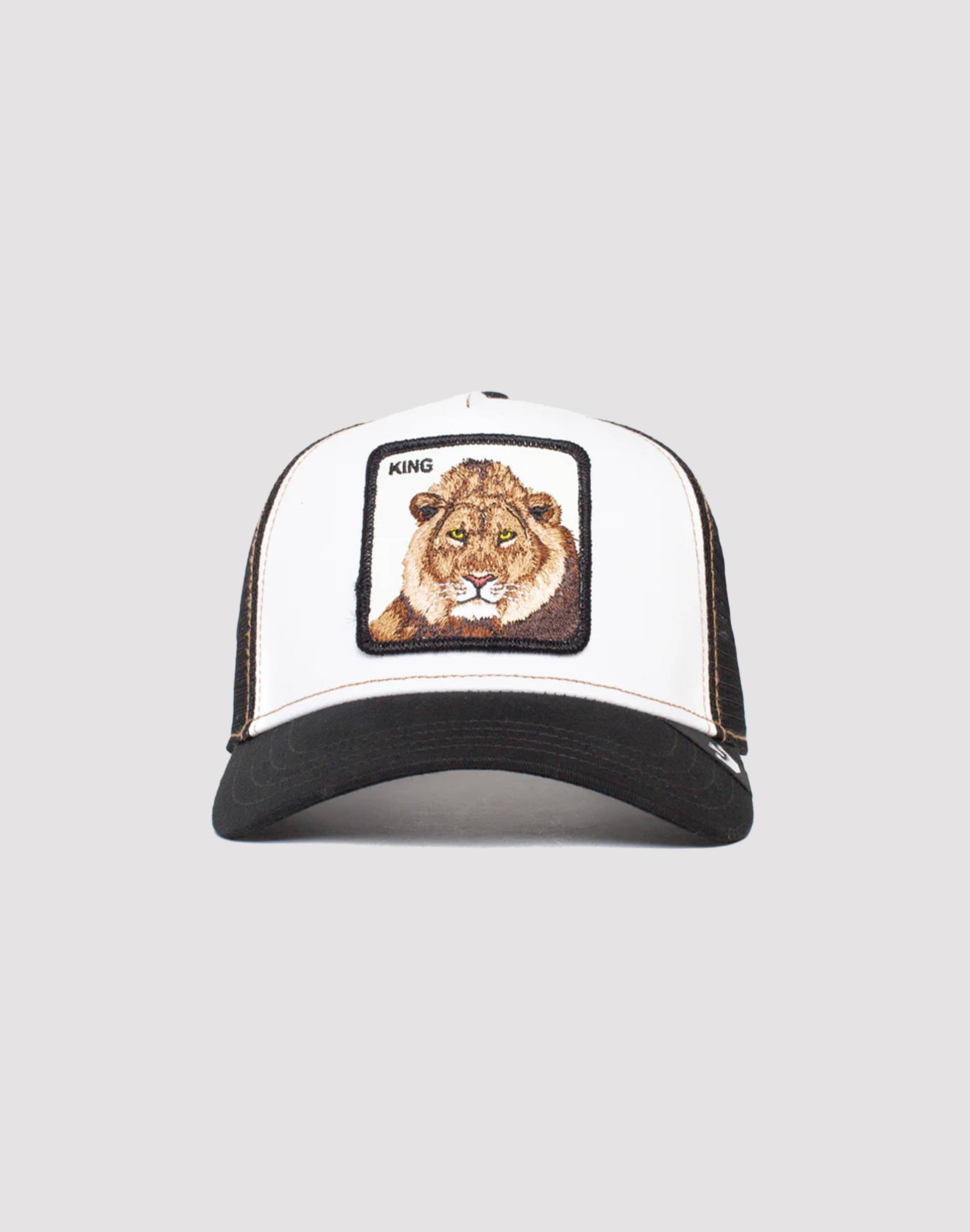 dtlr.com is where to buy