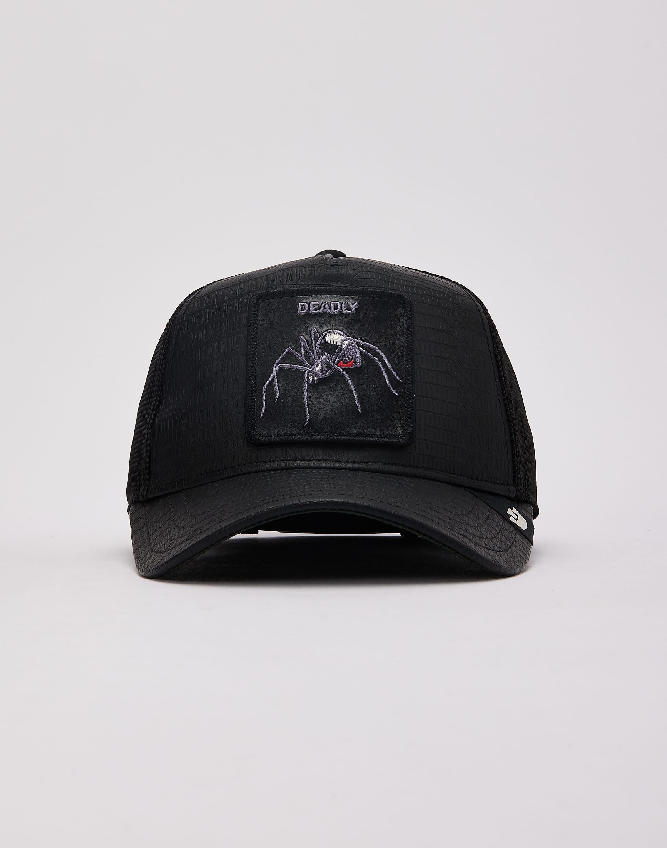 dtlr.com is where to buy