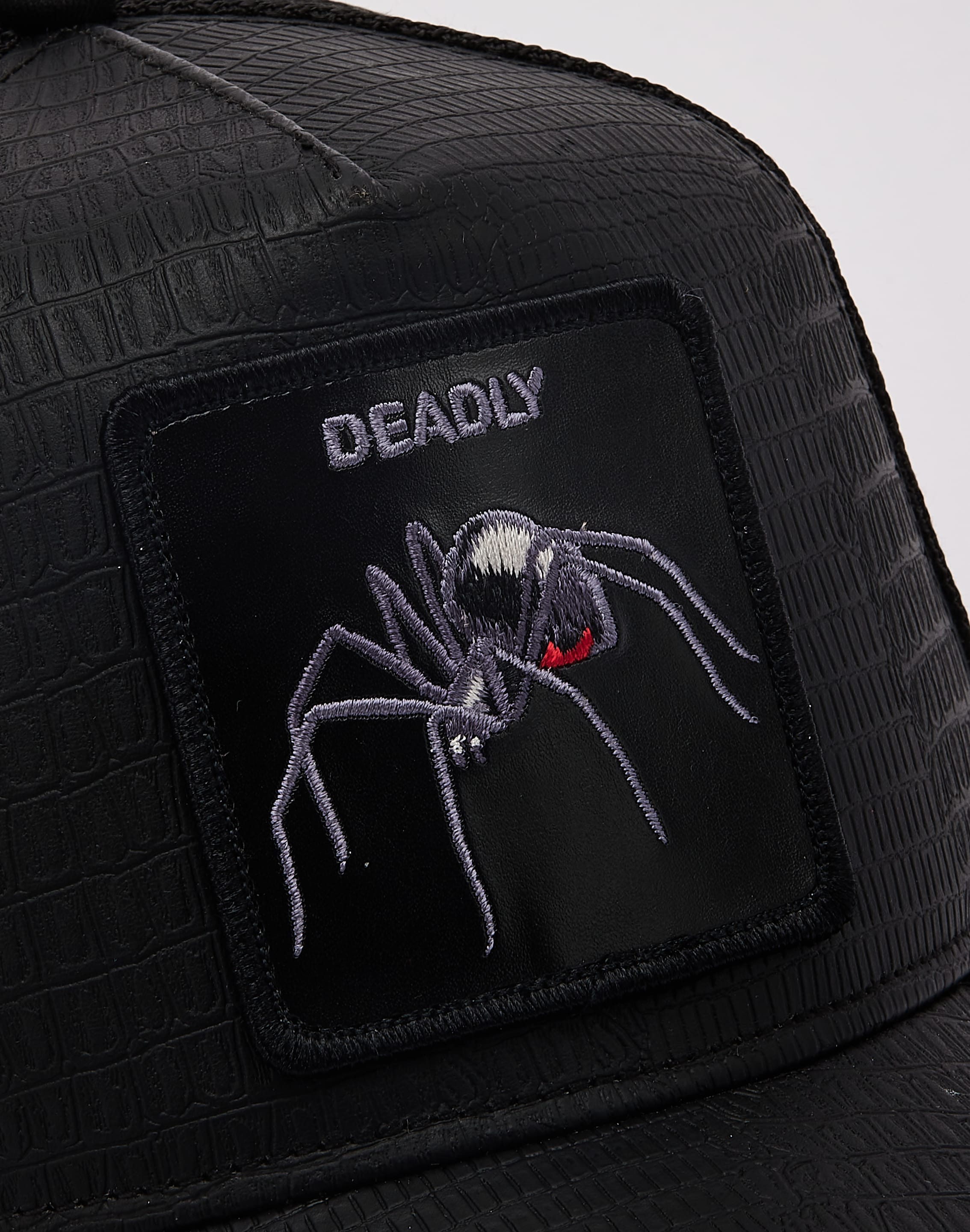 dtlr.com is where to buy