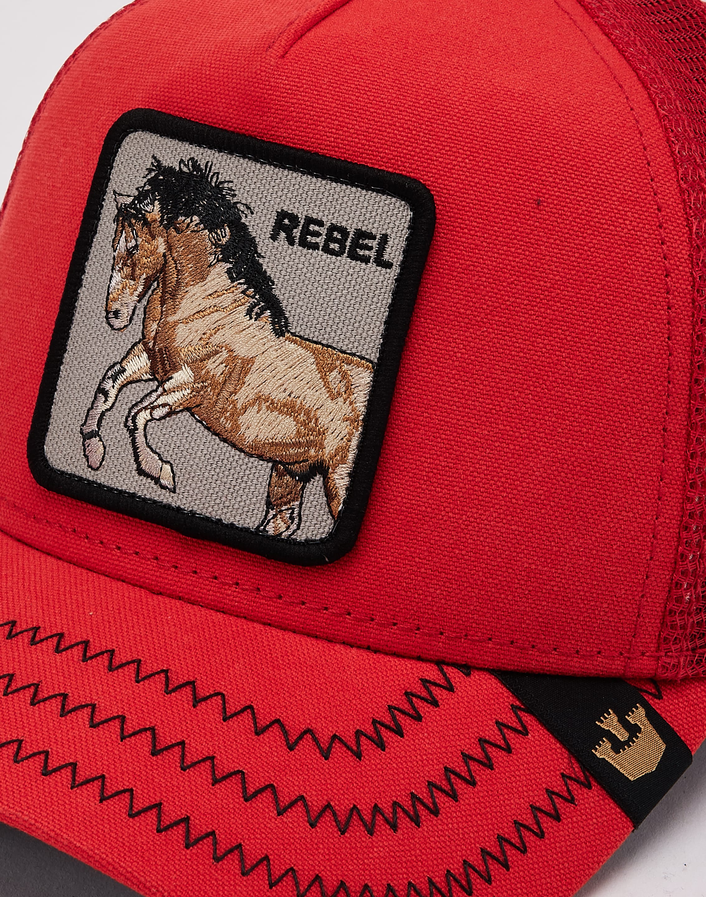 dtlr.com is where to buy