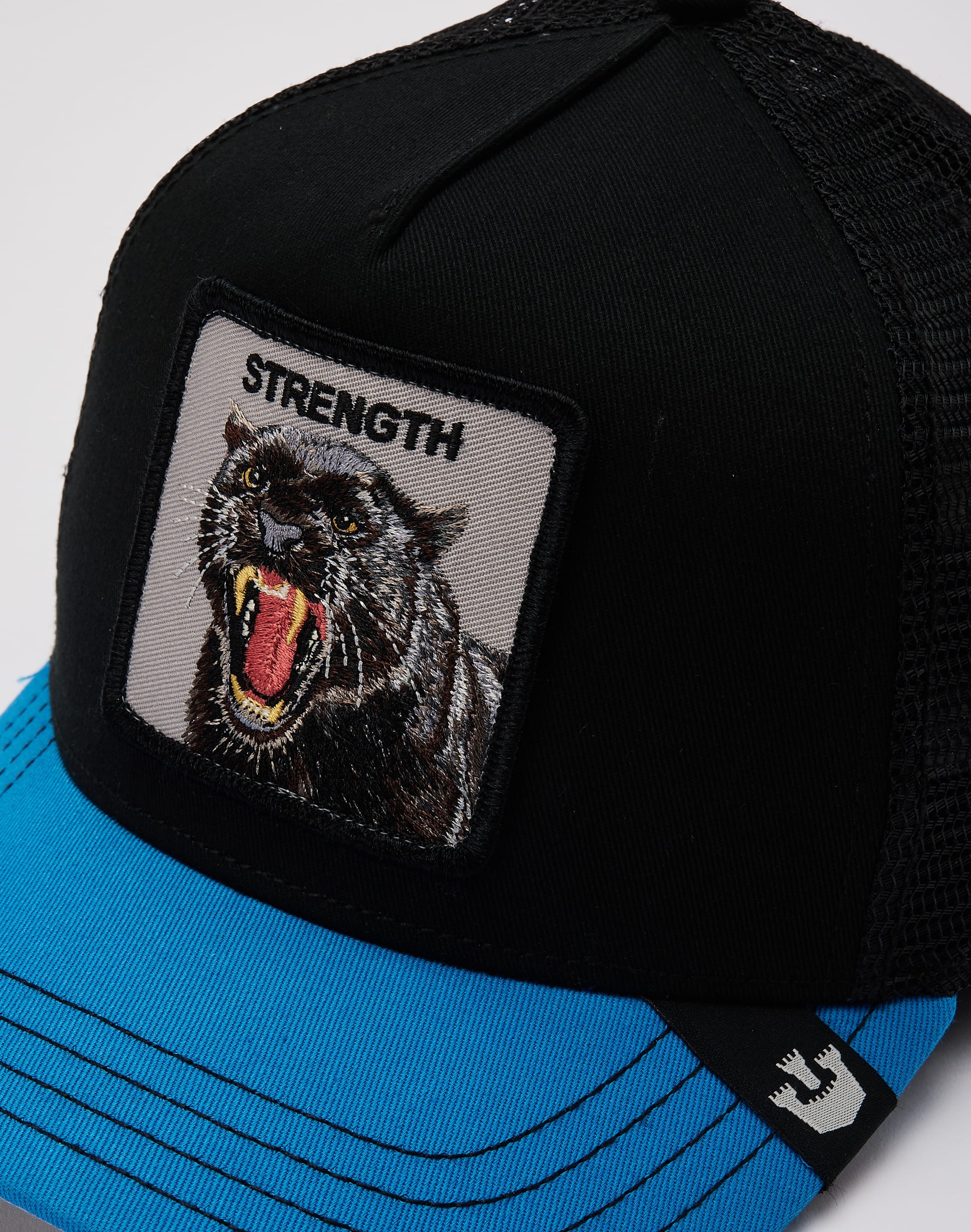 dtlr.com is where to buy