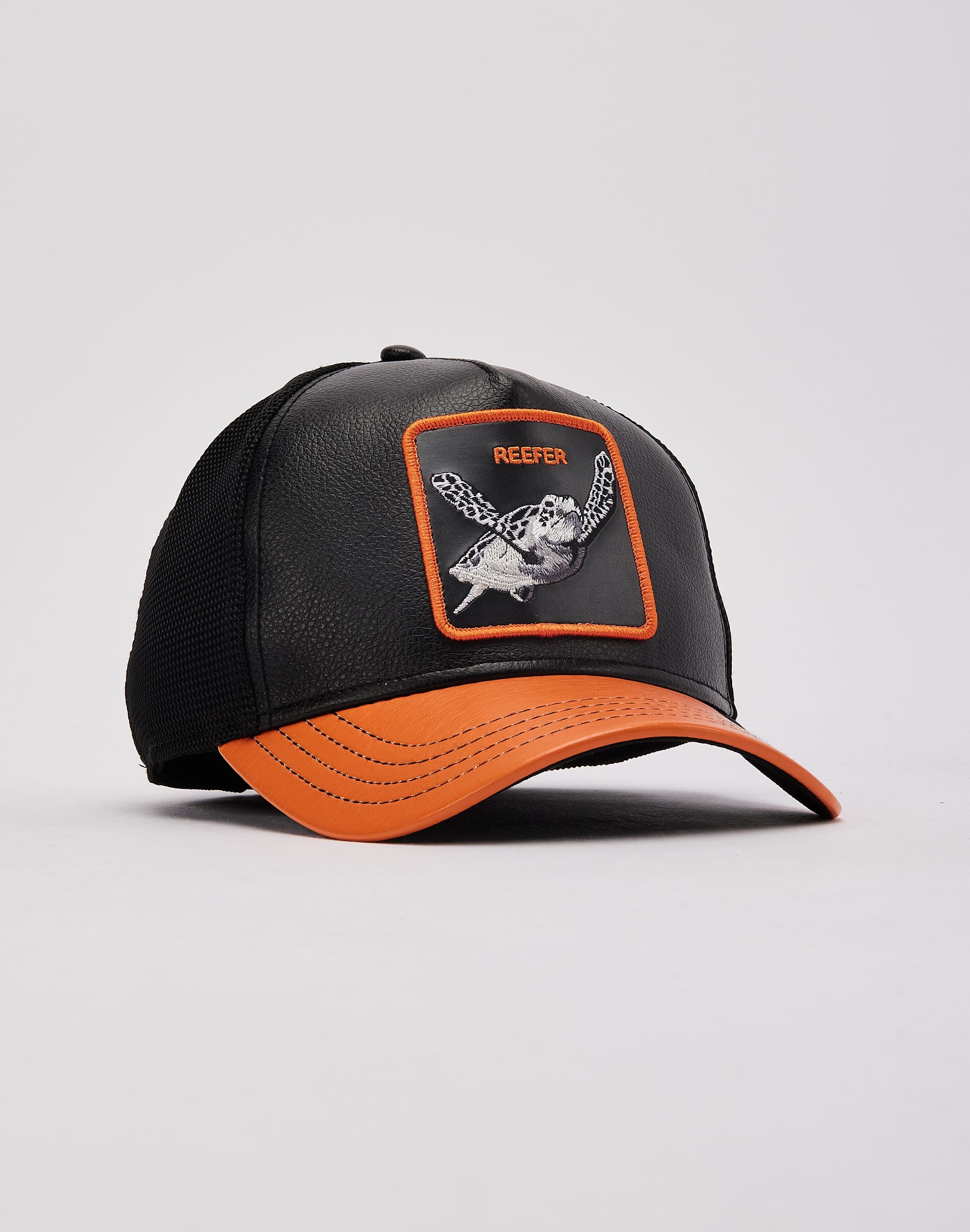 dtlr.com is where to buy