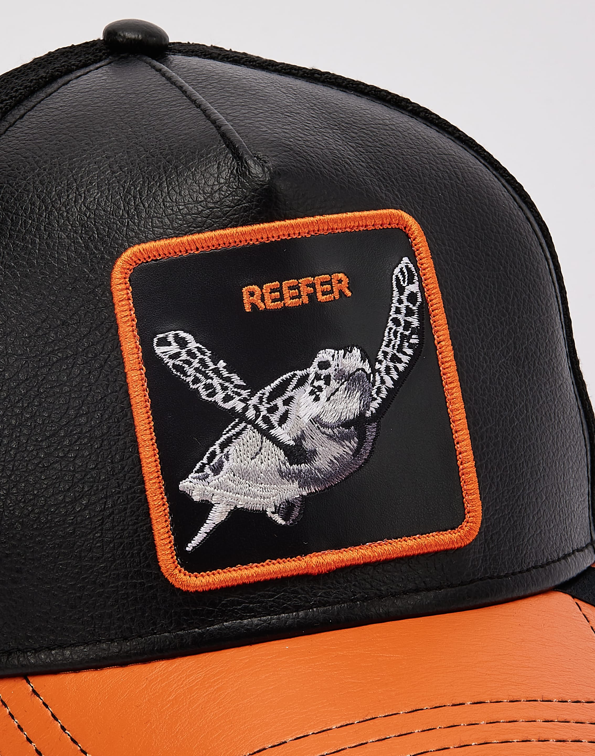 dtlr.com is where to buy