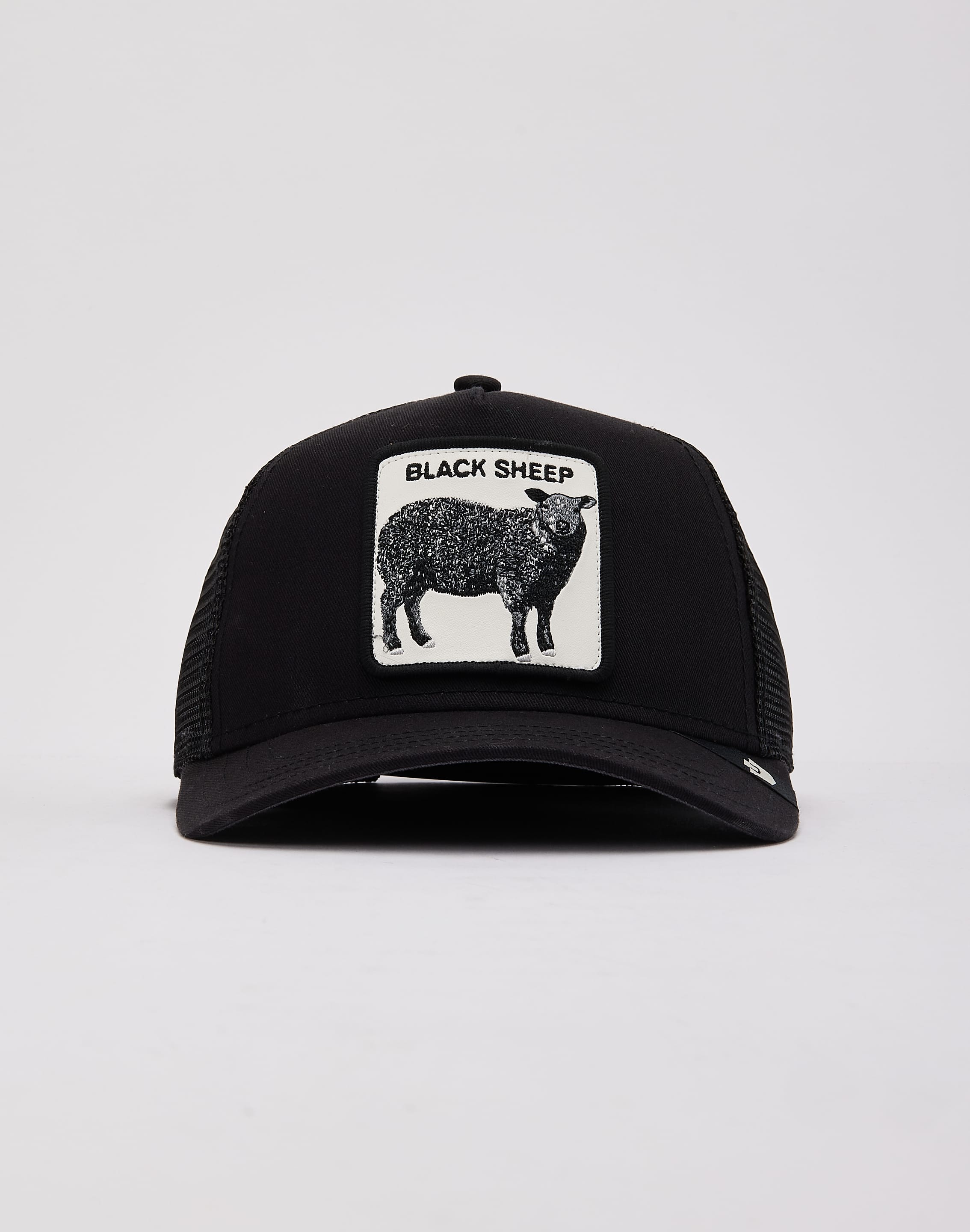 dtlr.com is where to buy