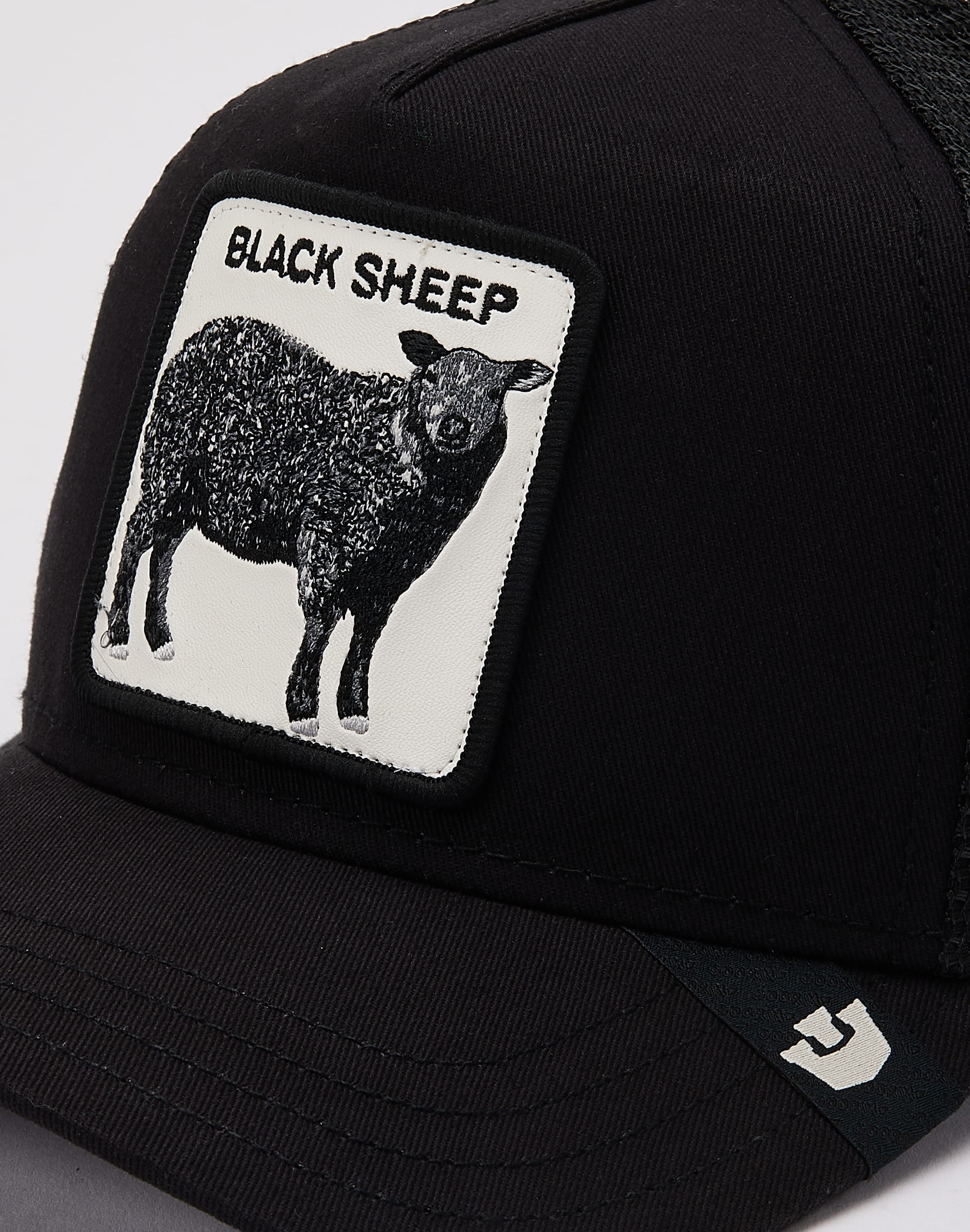 dtlr.com is where to buy