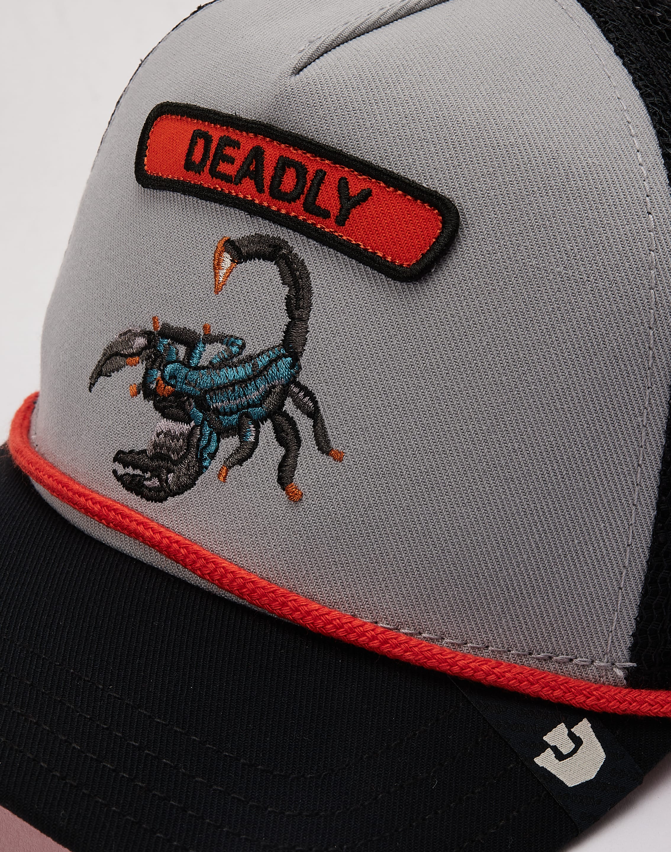 dtlr.com is where to buy