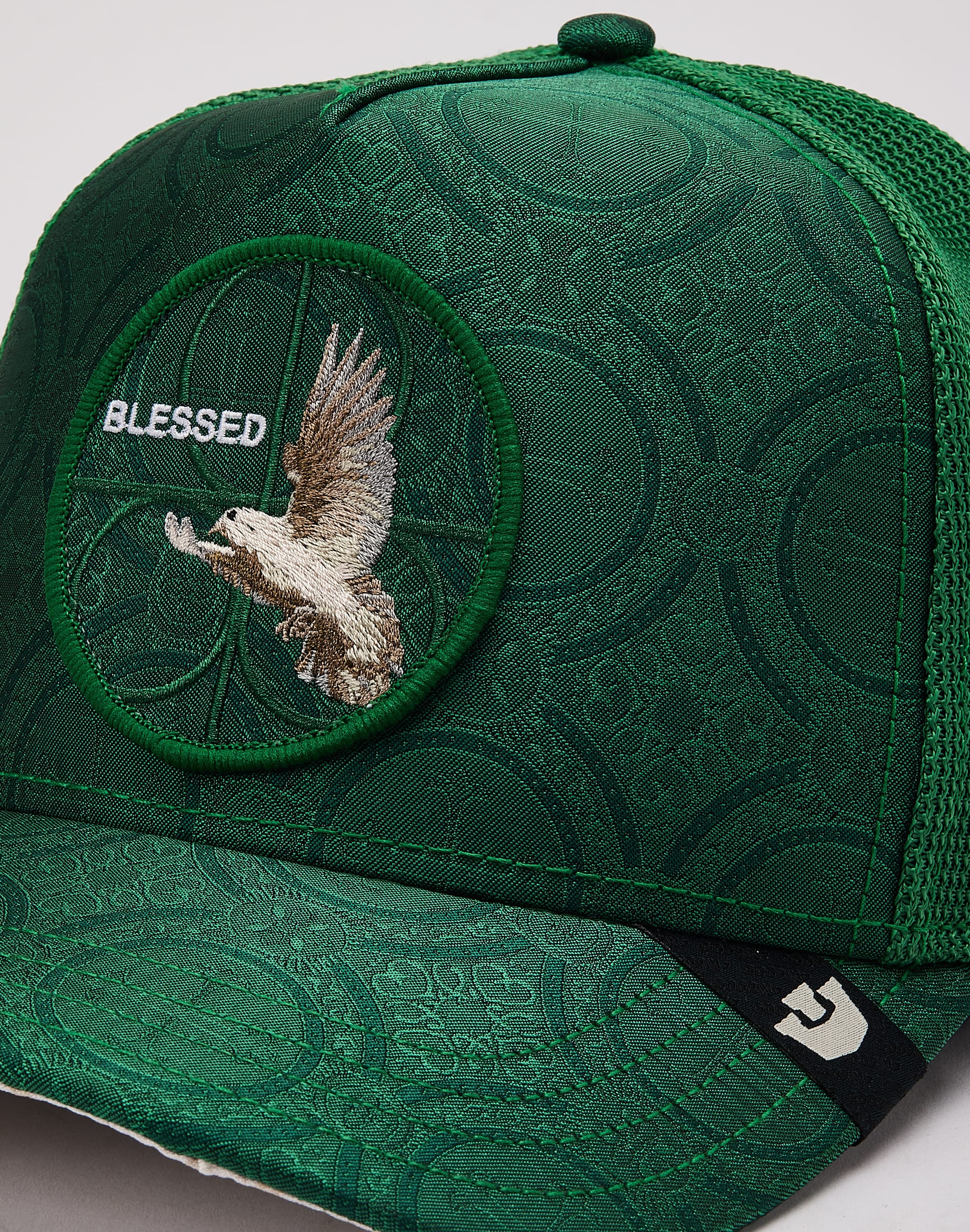 dtlr.com is where to buy