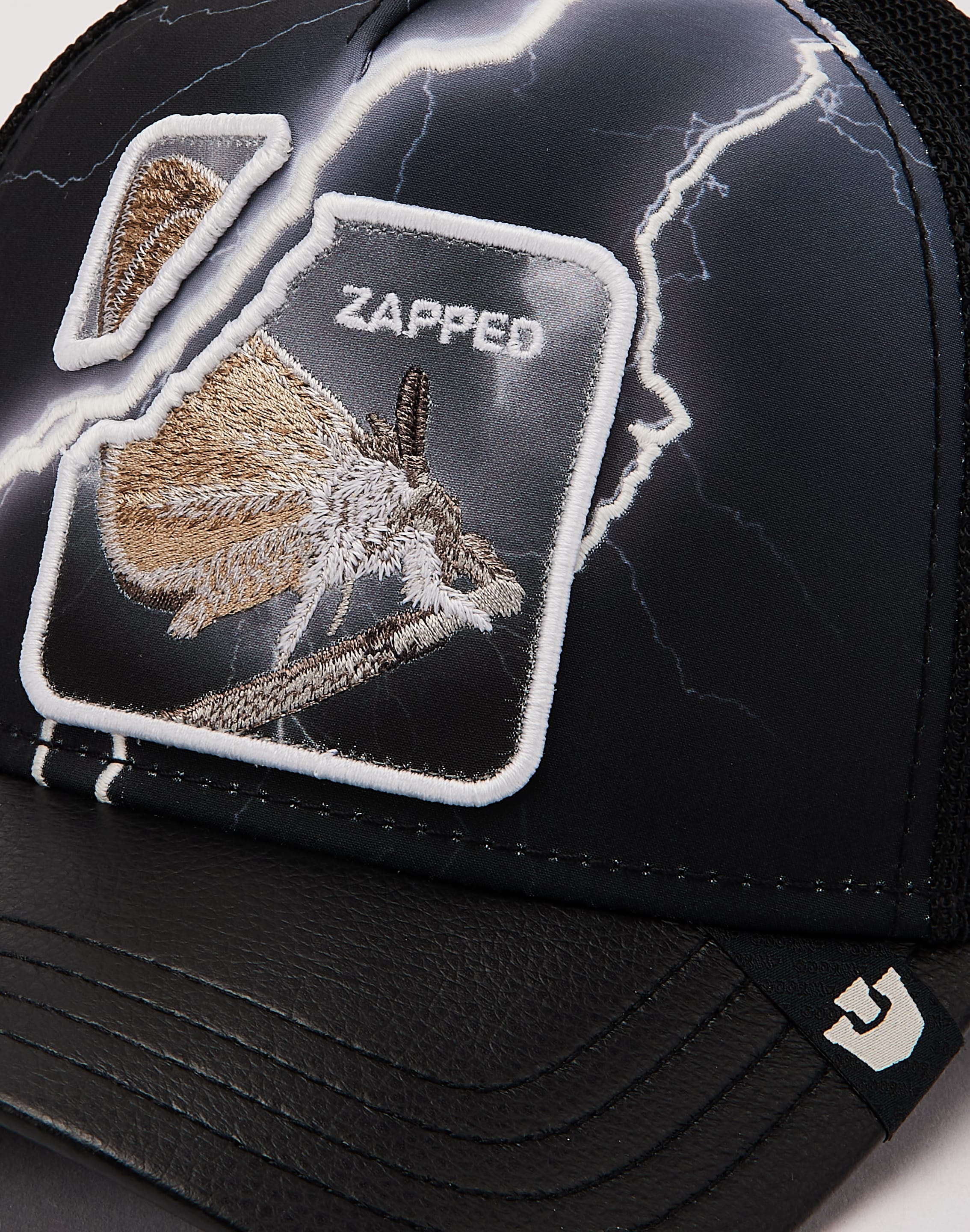 dtlr.com is where to buy