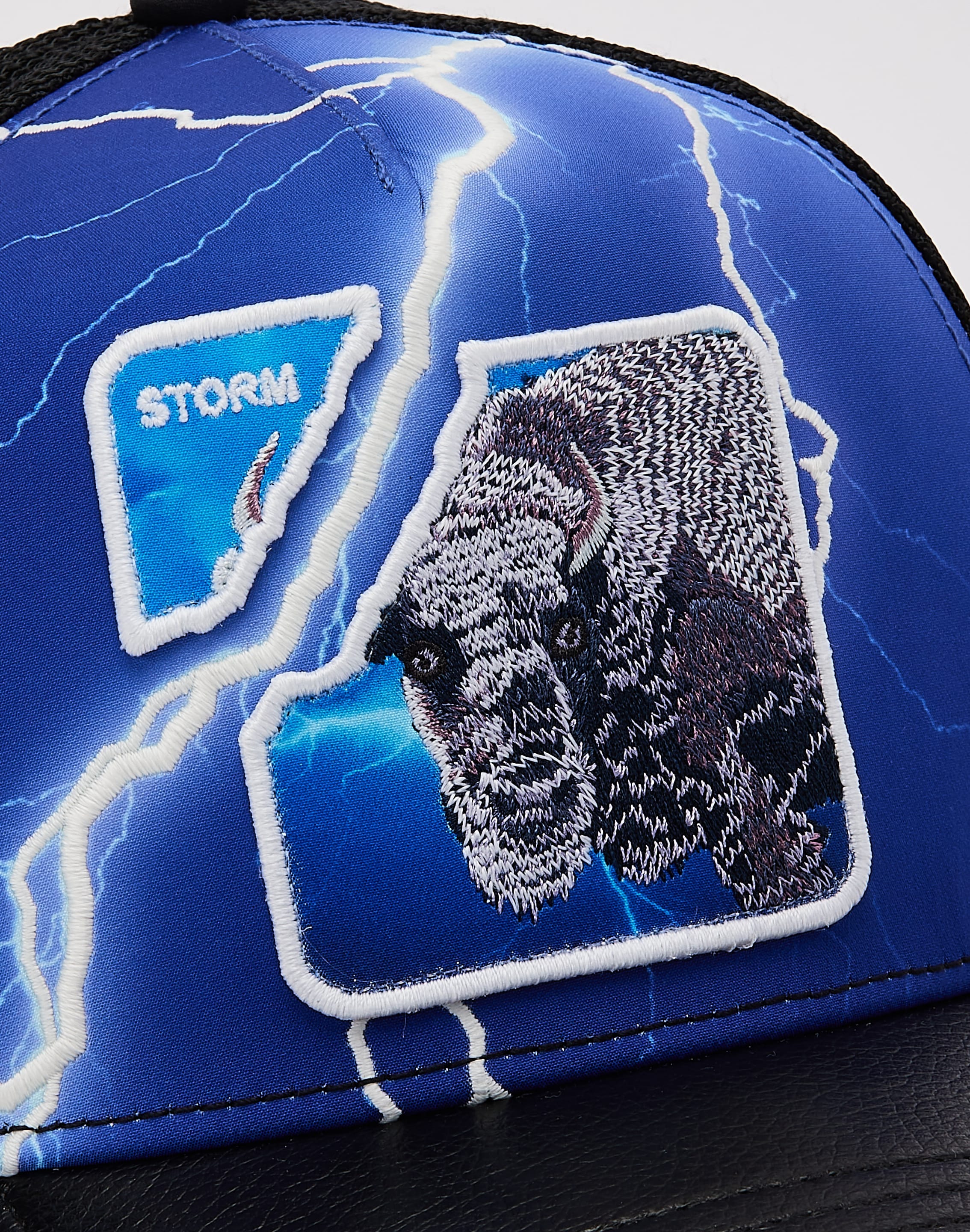 dtlr.com is where to buy